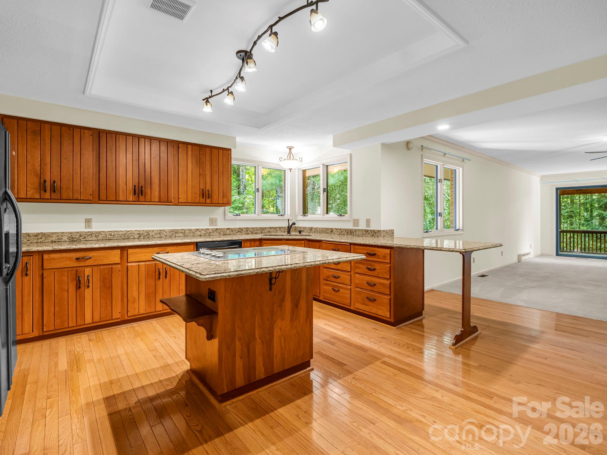 115 Woodhaven Drive — Hendersonville