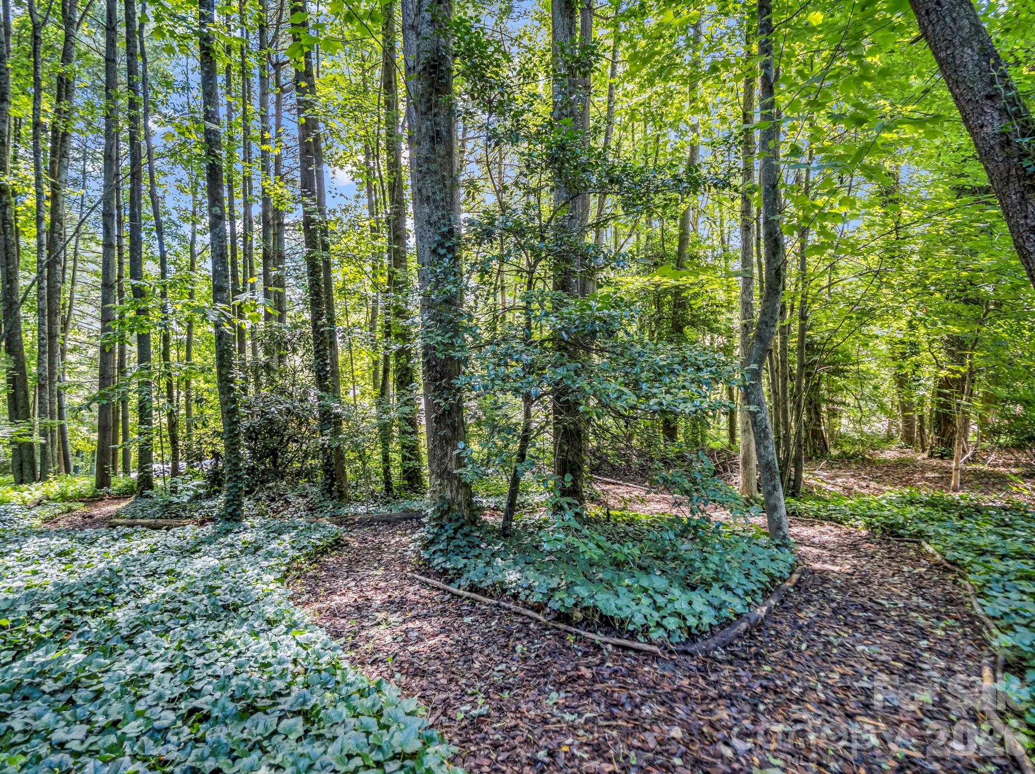 115 Woodhaven Drive — Hendersonville