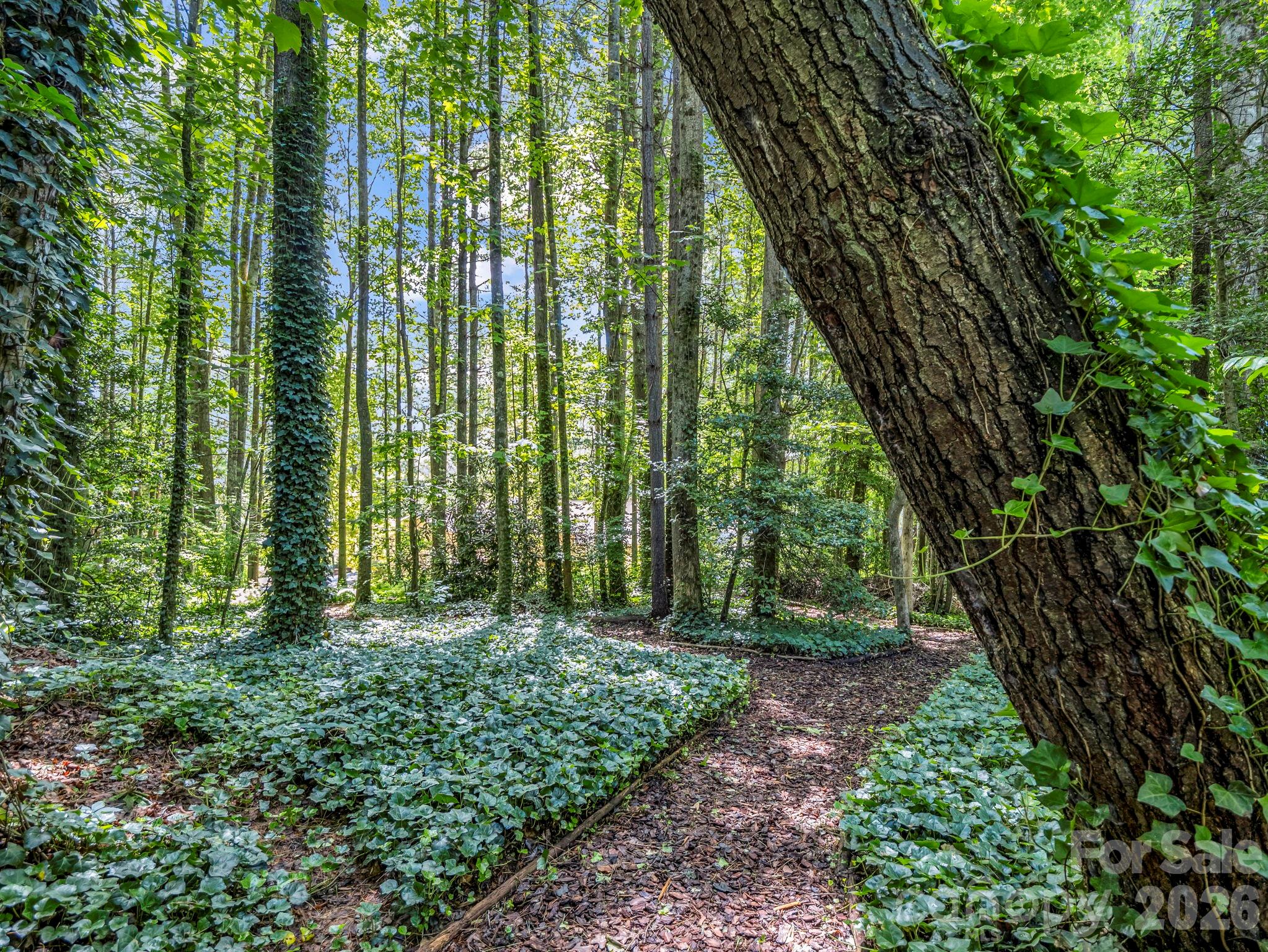 115 Woodhaven Drive — Hendersonville