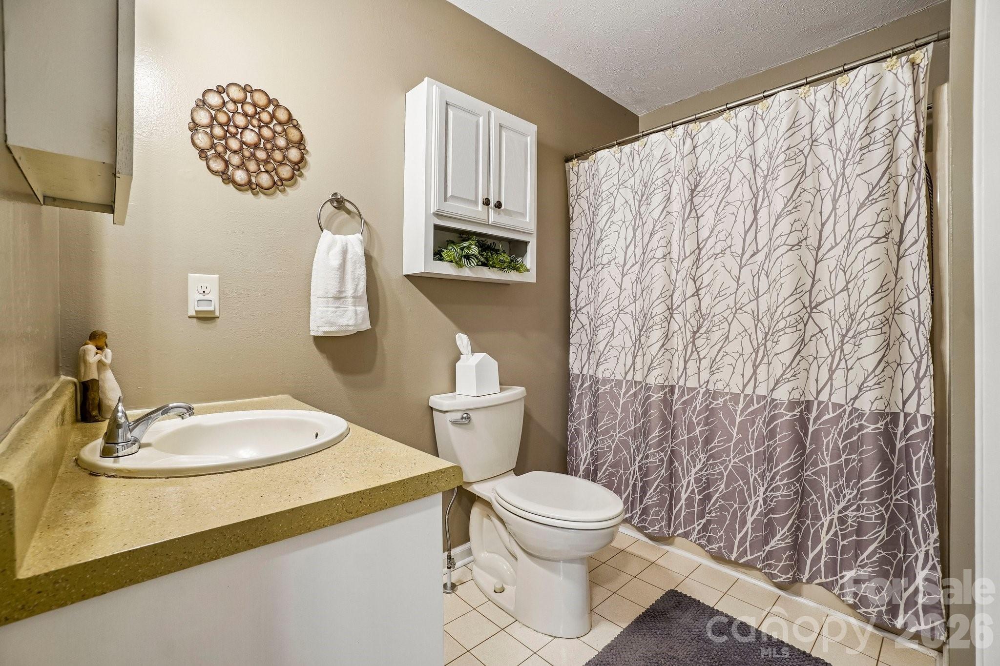 3229 N Bearwallow Road — Hendersonville