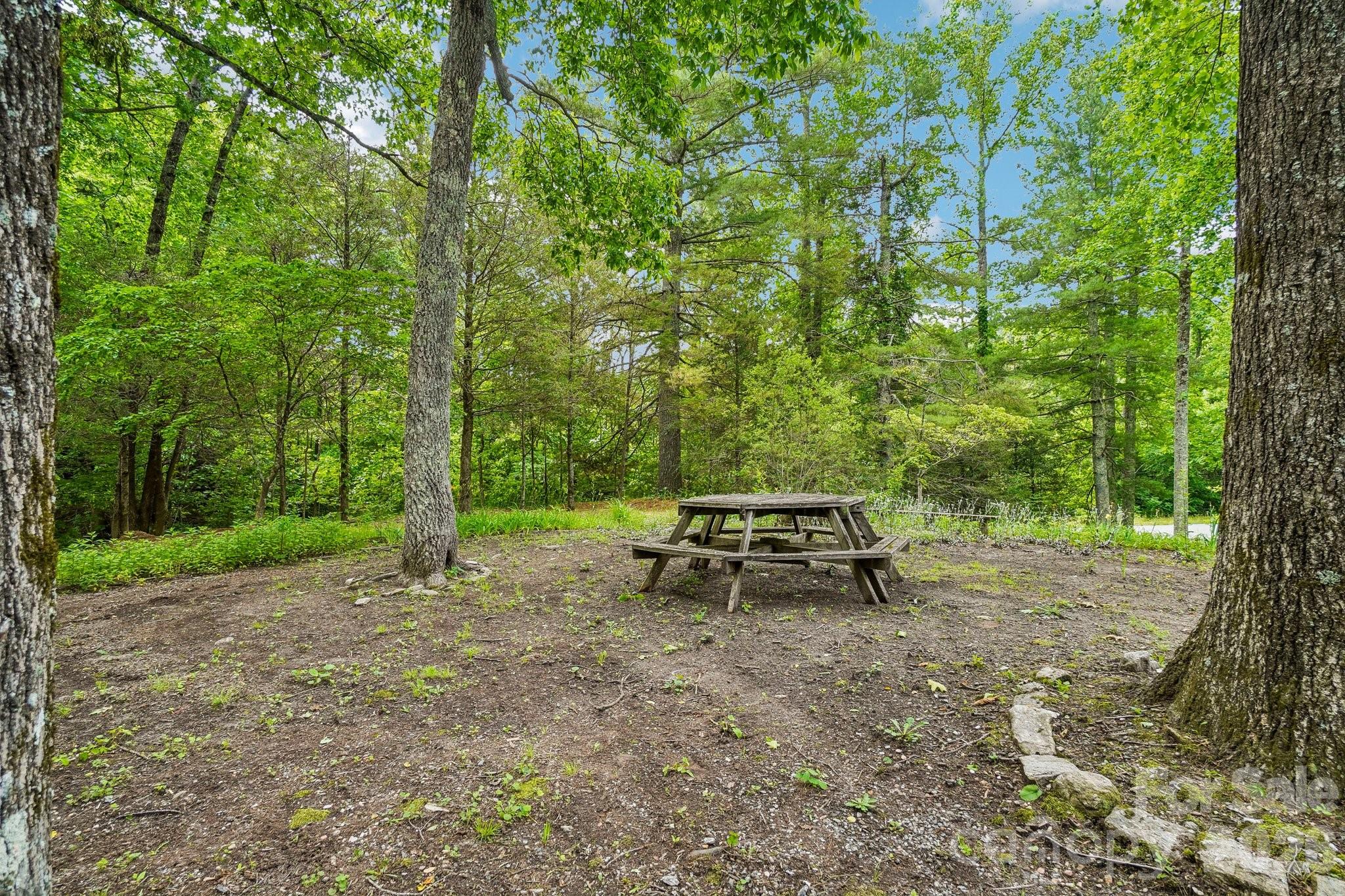 3229 N Bearwallow Road — Hendersonville