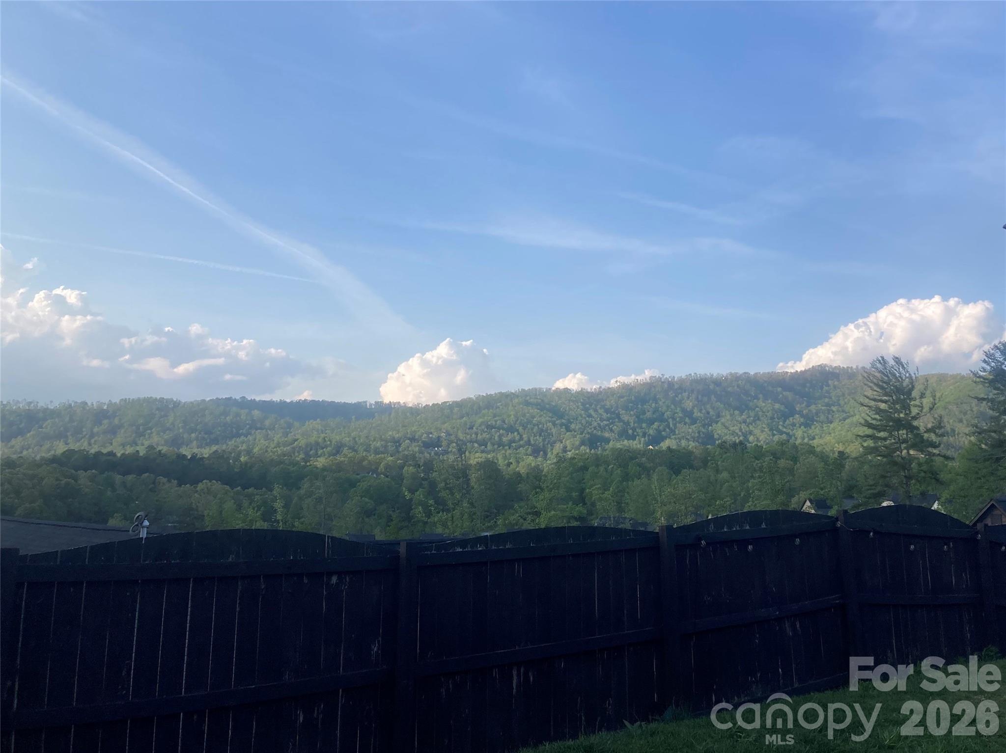 115 Water Leaf Drive — Weaverville
