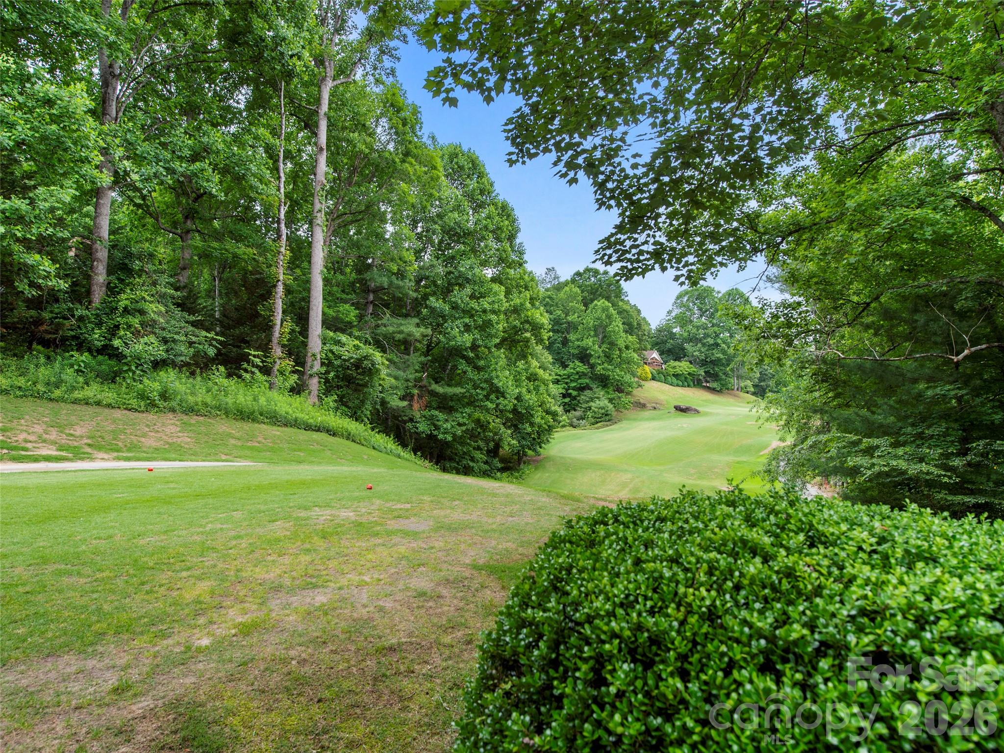 83 Laurel Ridge Place — Hendersonville