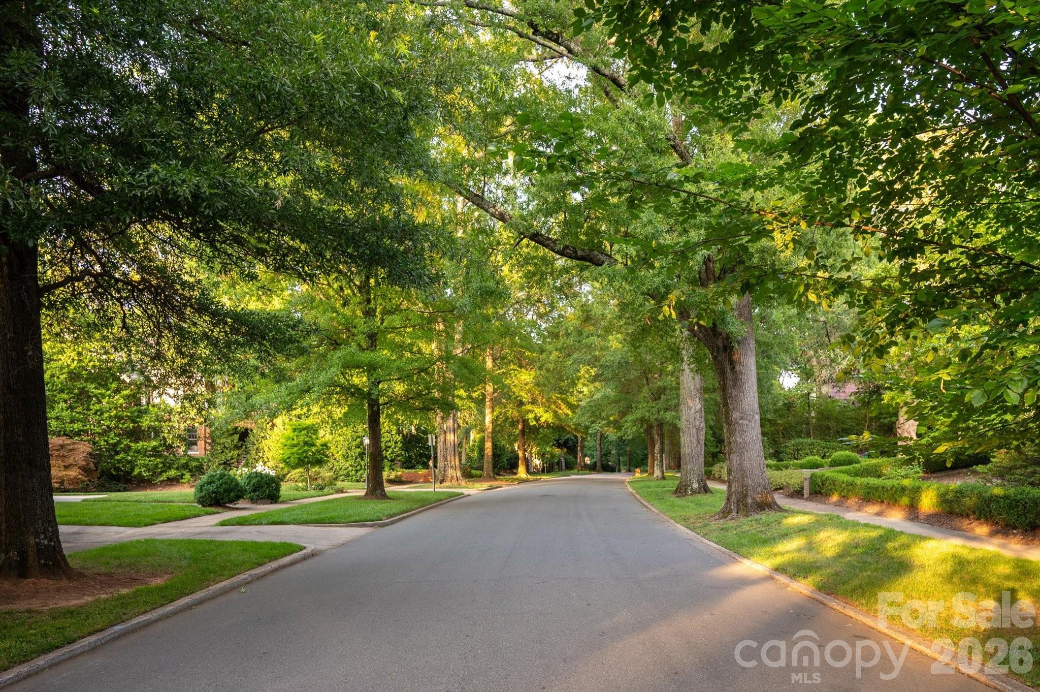 1035 Queens Road #8 — Charlotte