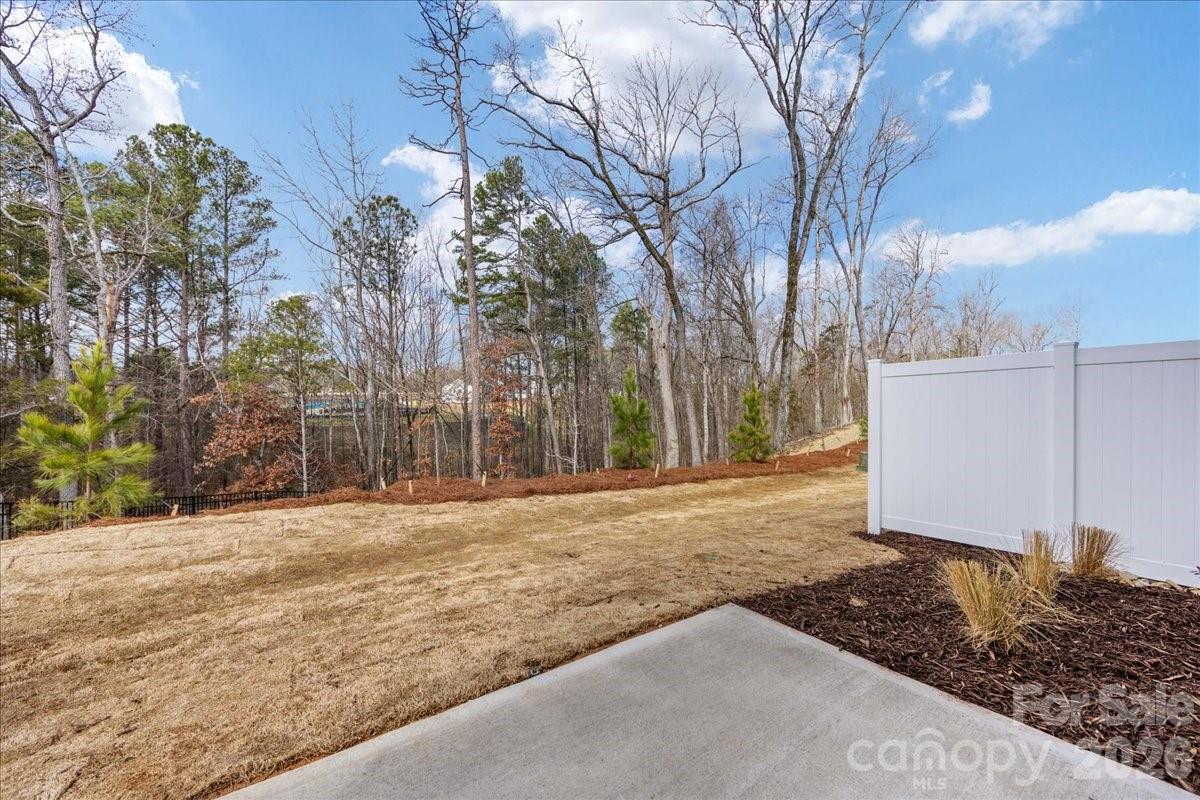 197 Landy Street — Fort Mill