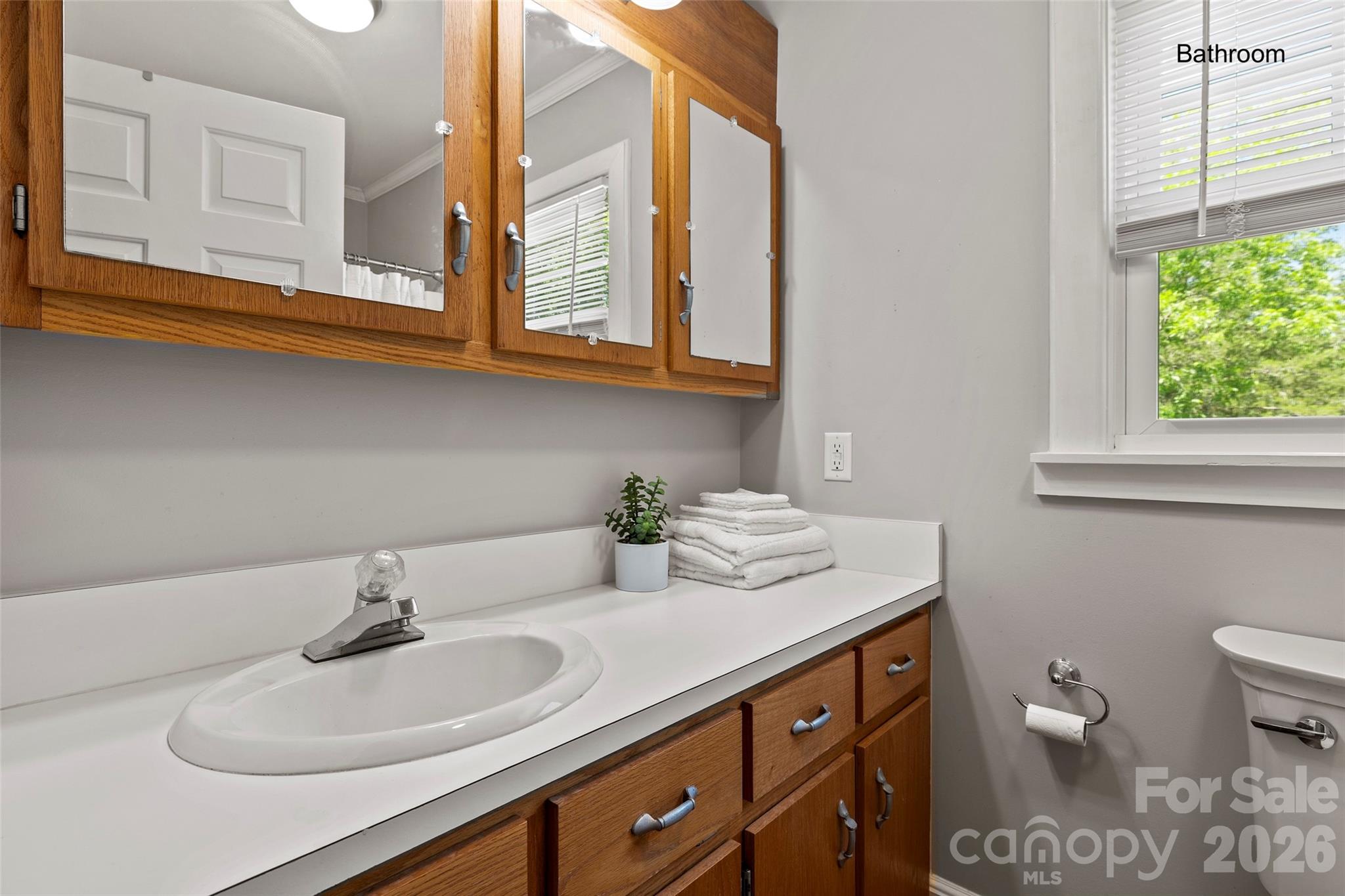 2450 Cottage Lane — Liberty Hill