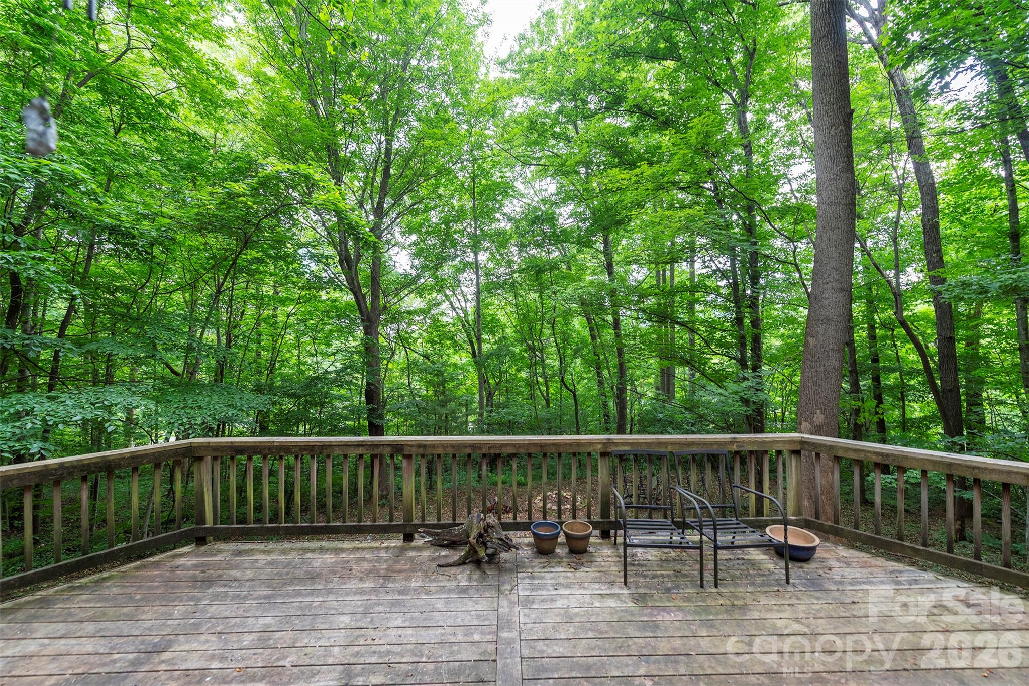 23 Hunting Lodge Drive — Black Mountain