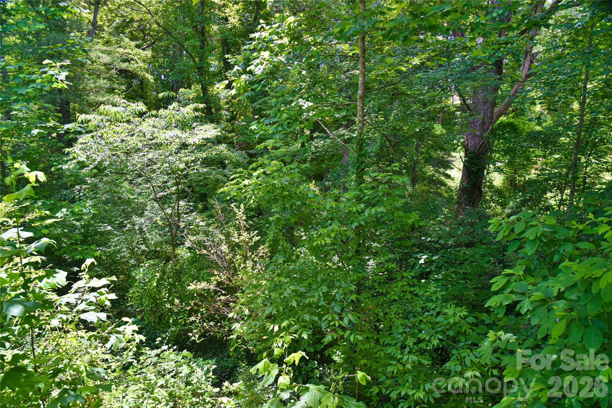115 Wicklow Drive — Asheville