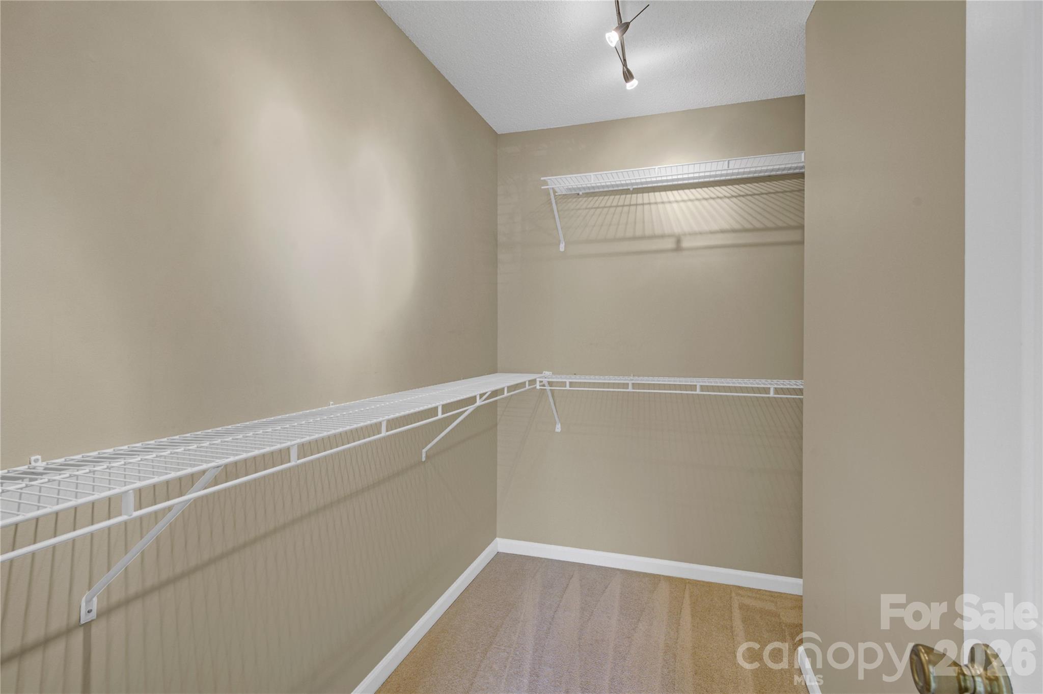 8772 Robinson Forest Drive — Charlotte
