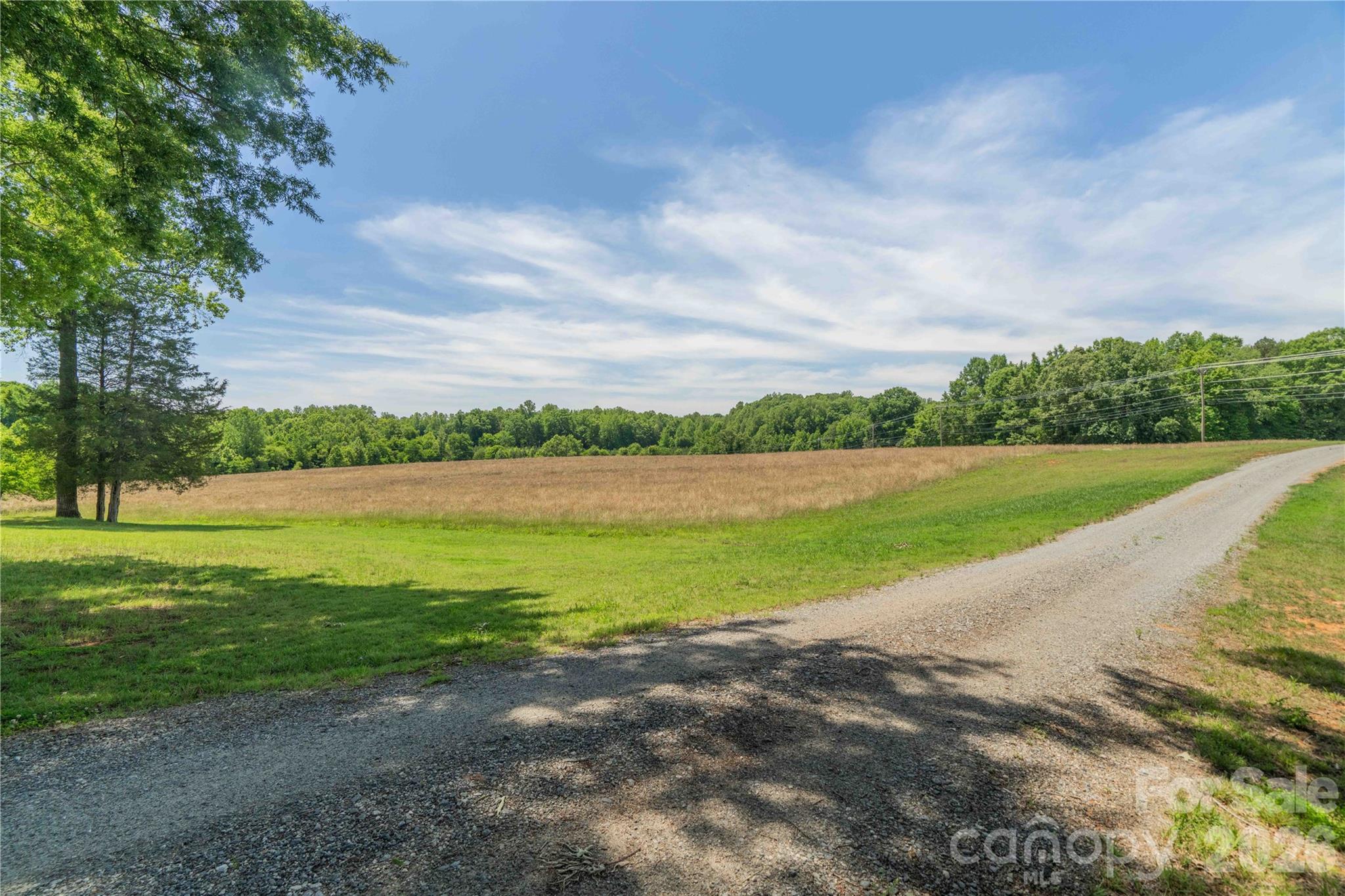 668 Link Road — Lexington