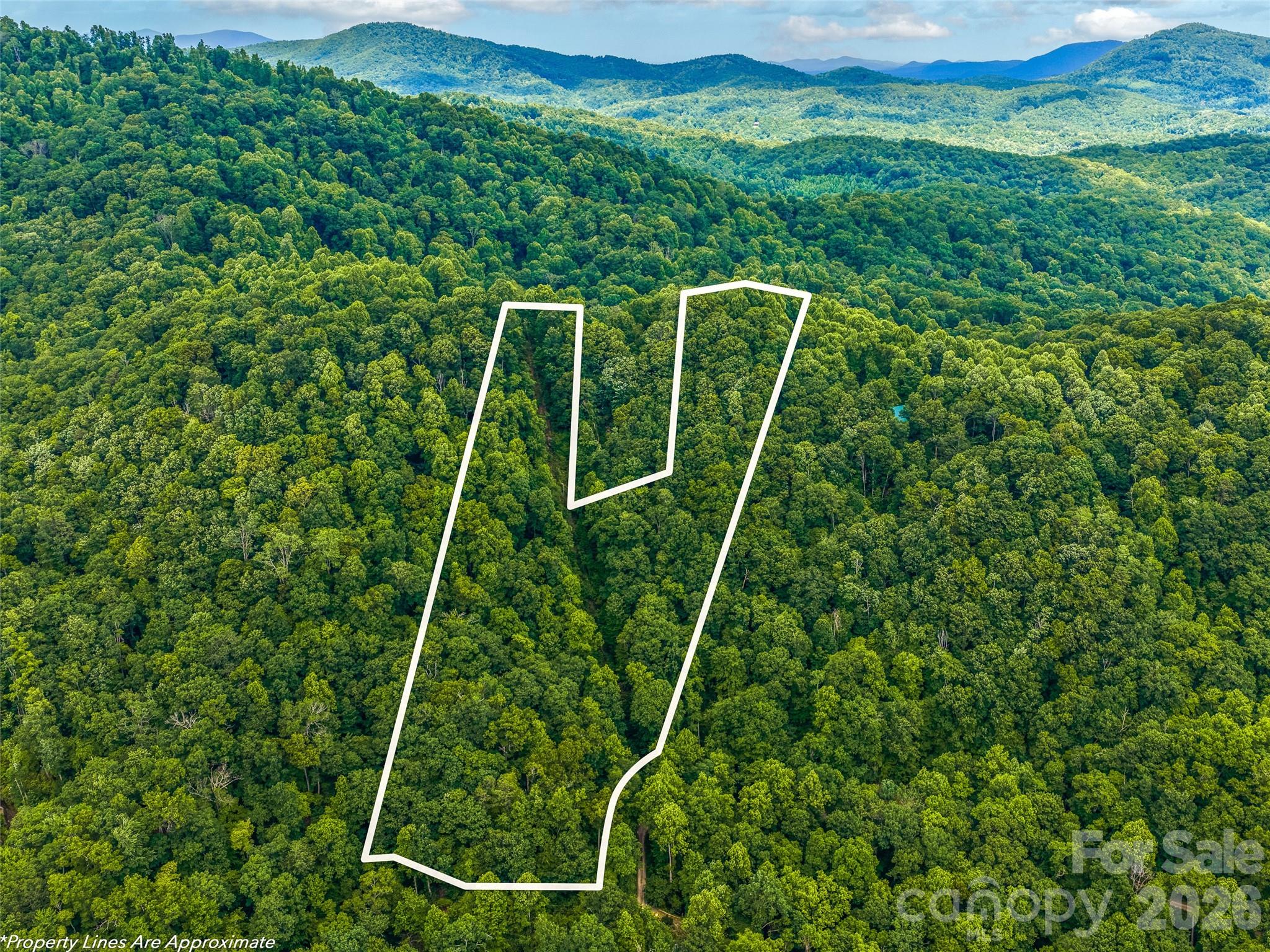 520 Patricia Road — Black Mountain