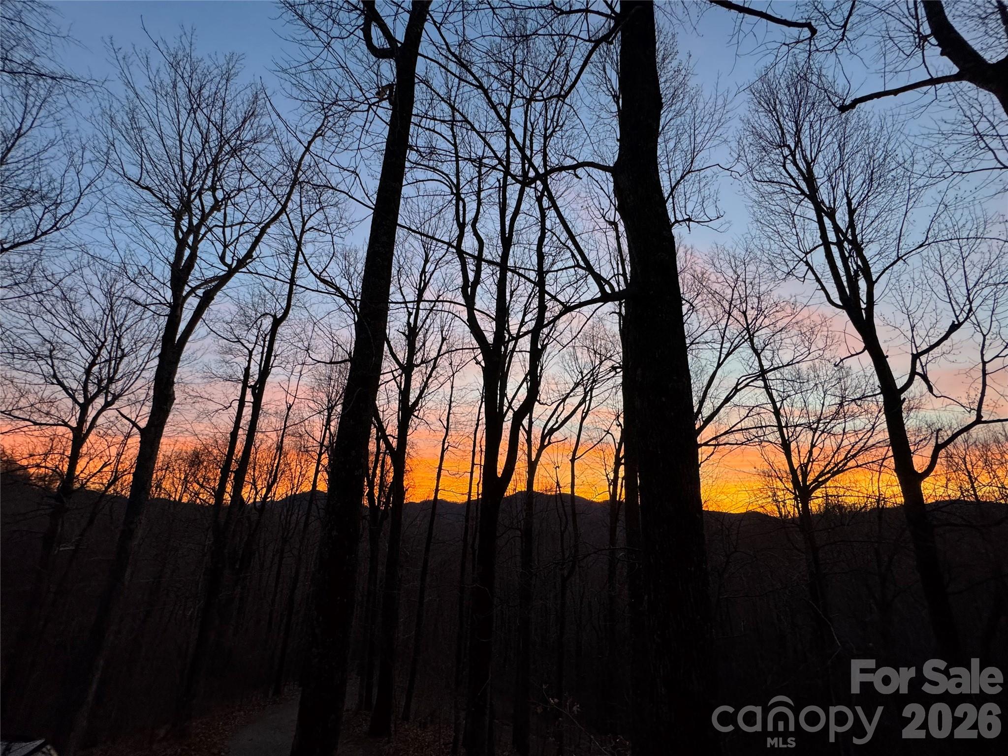 520 Patricia Road — Black Mountain