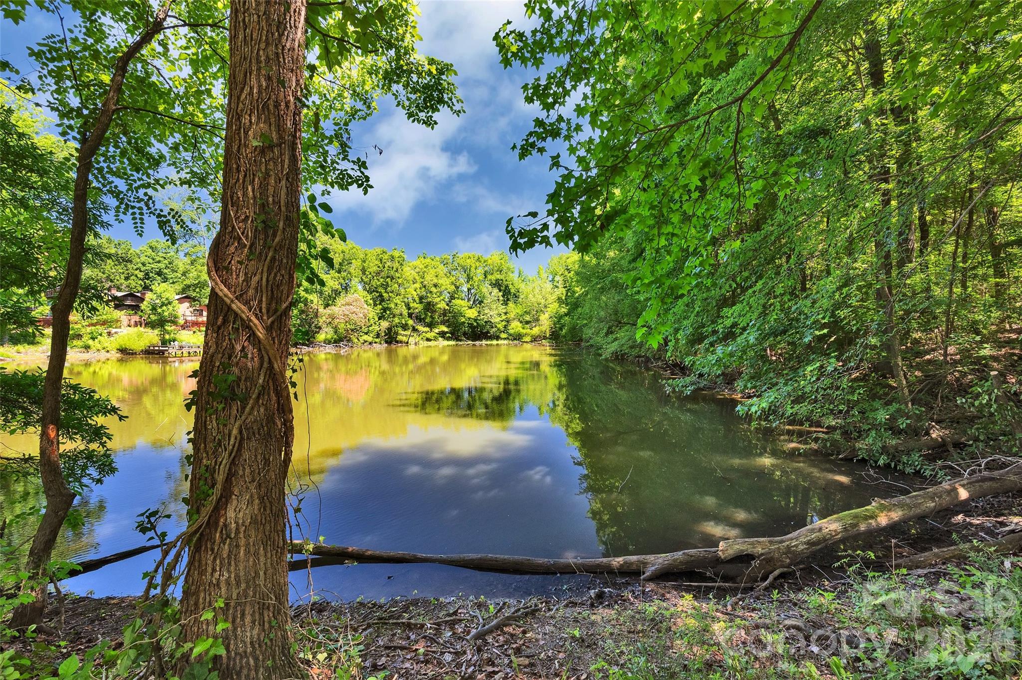 1433 Lurecliff Place — Fort Mill