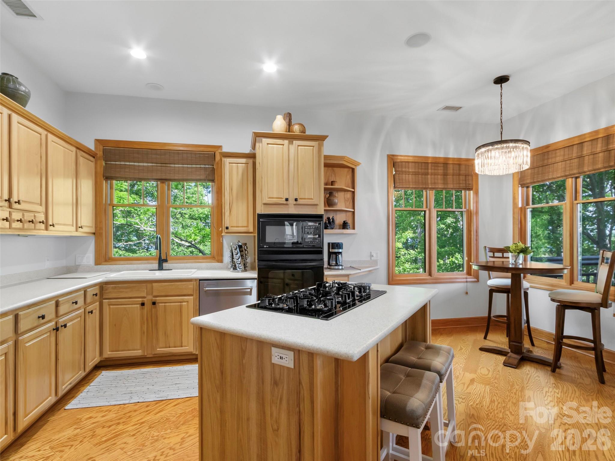 115 Stoney Falls Loop #D1 — Burnsville