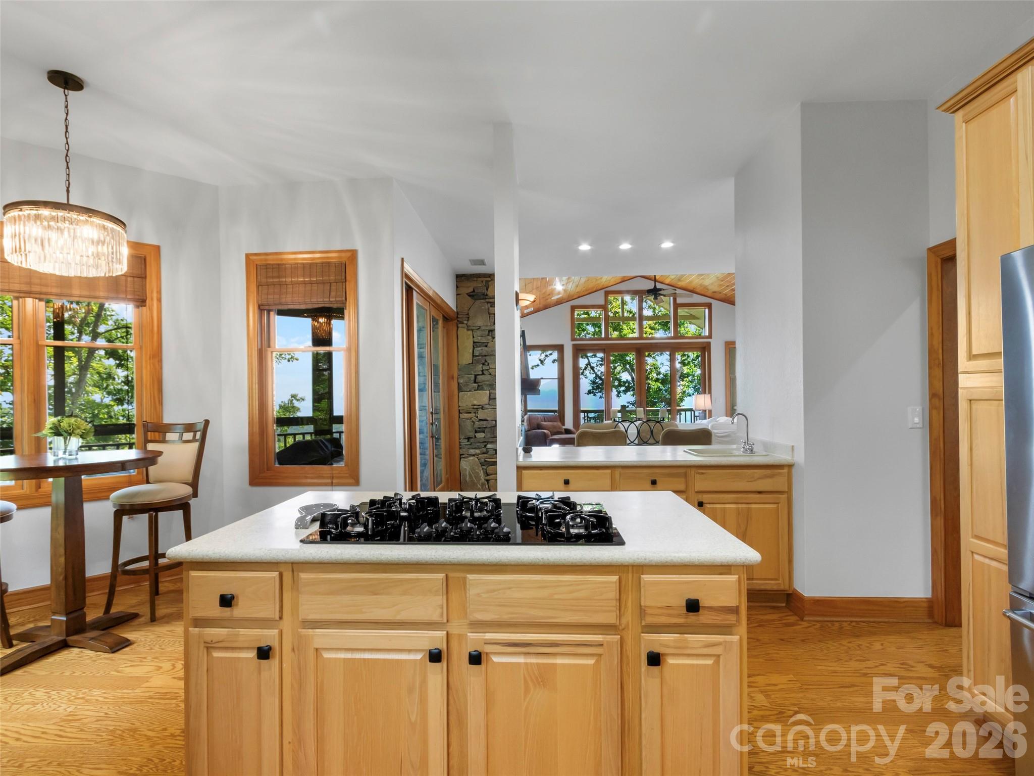 115 Stoney Falls Loop #D1 — Burnsville