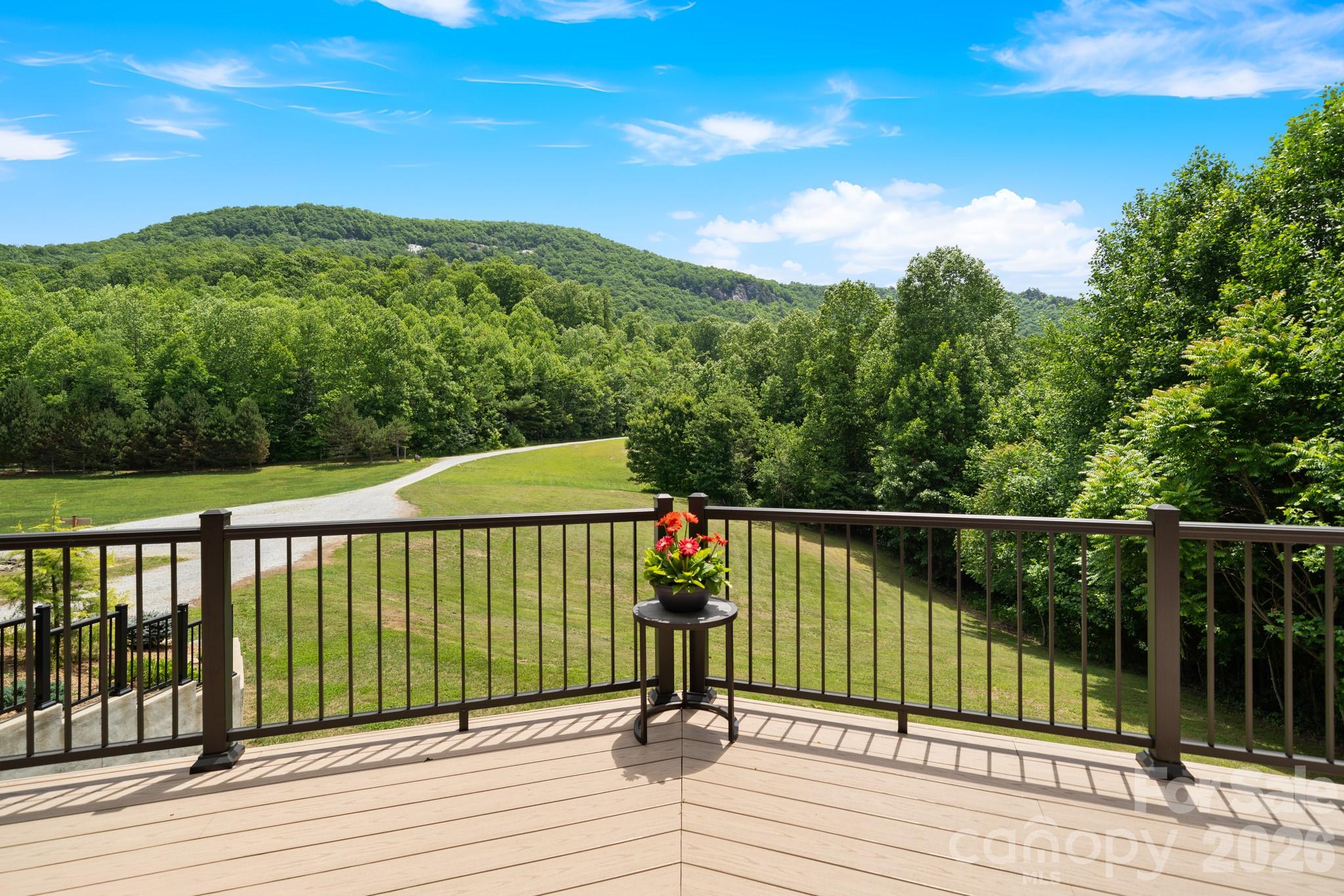 49 Western Eagle Drive — Hendersonville