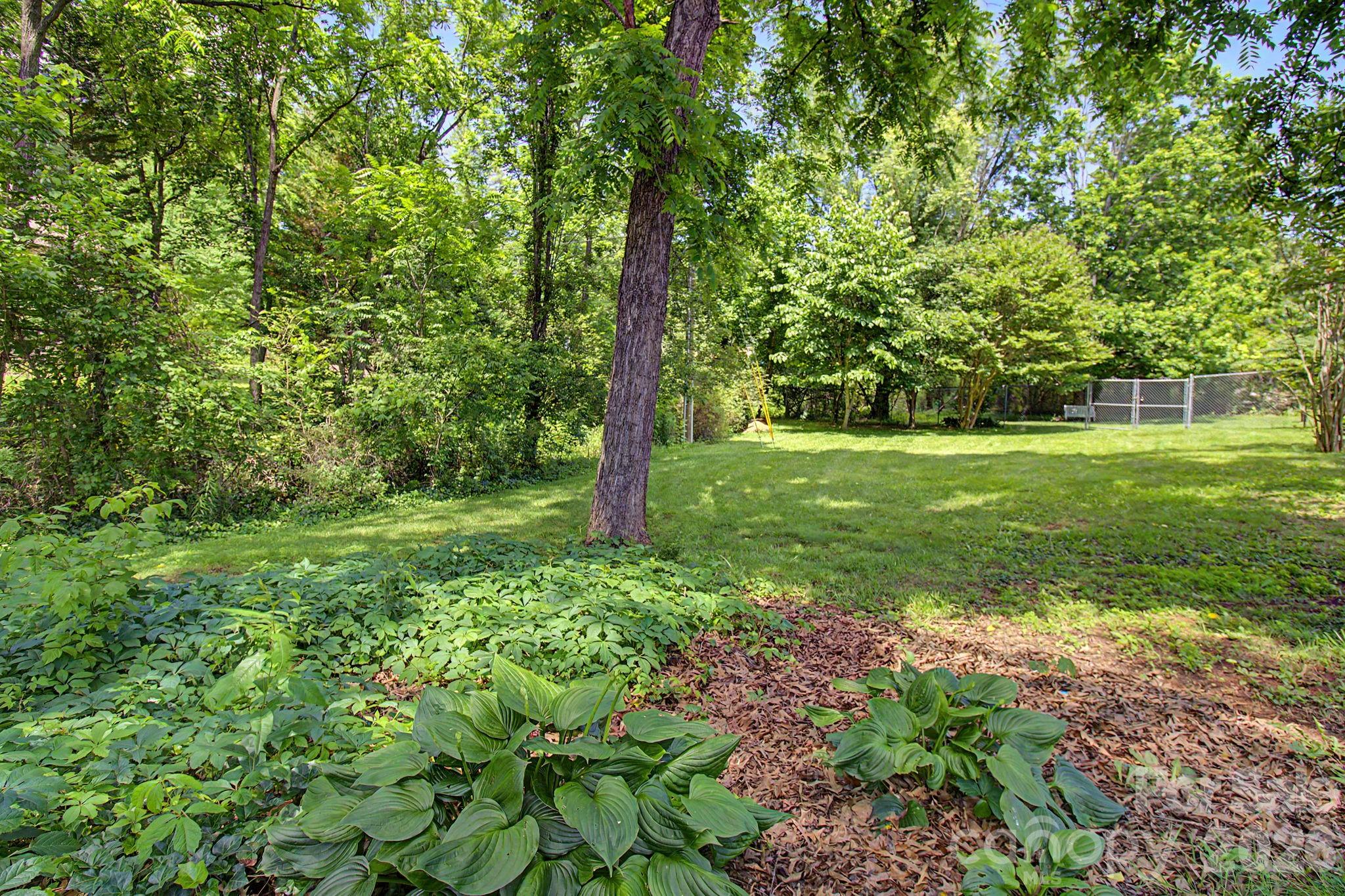 11 Waddell Street — Weaverville
