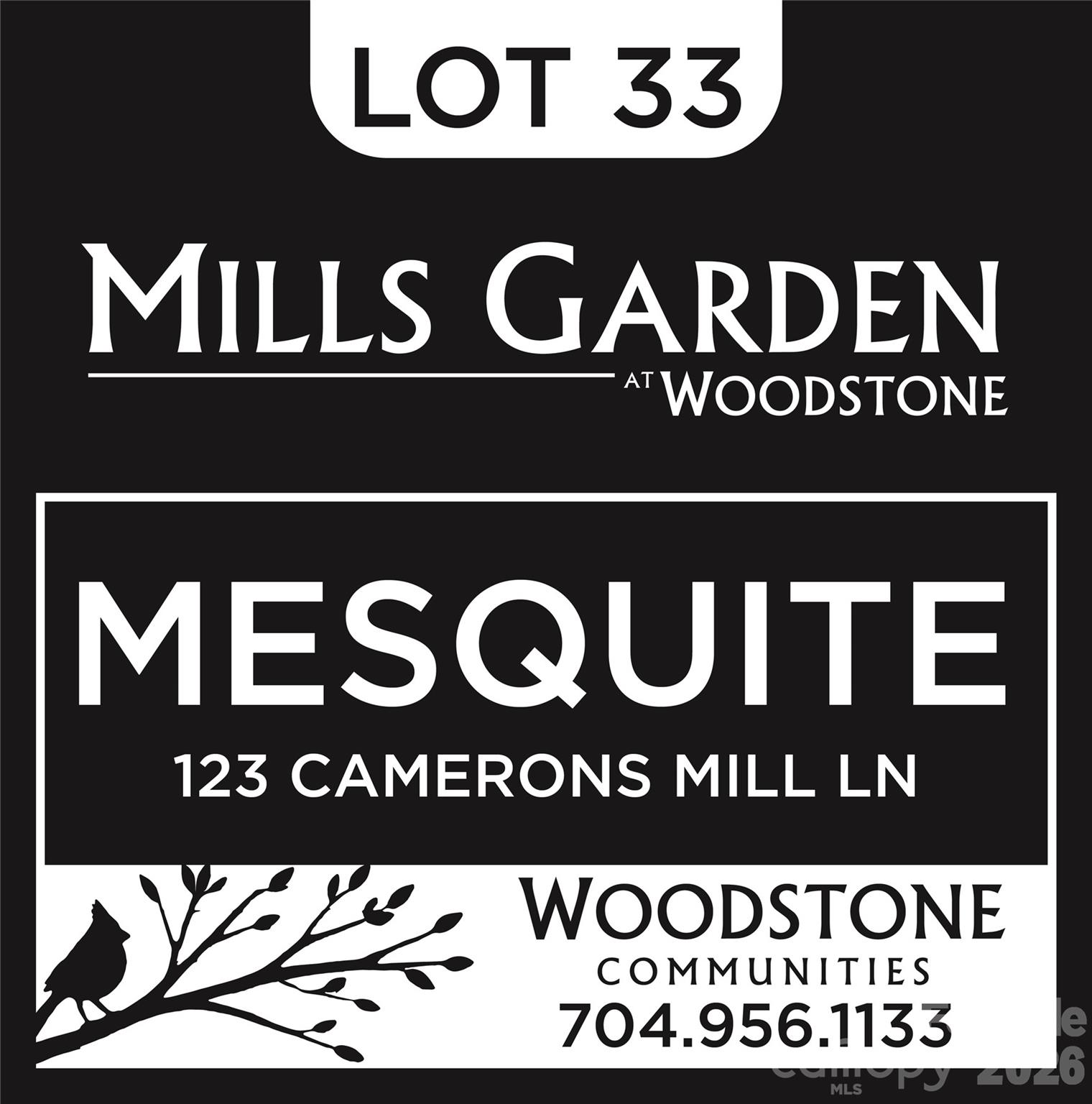 123 Camerons Mill Lane #33 — Statesville