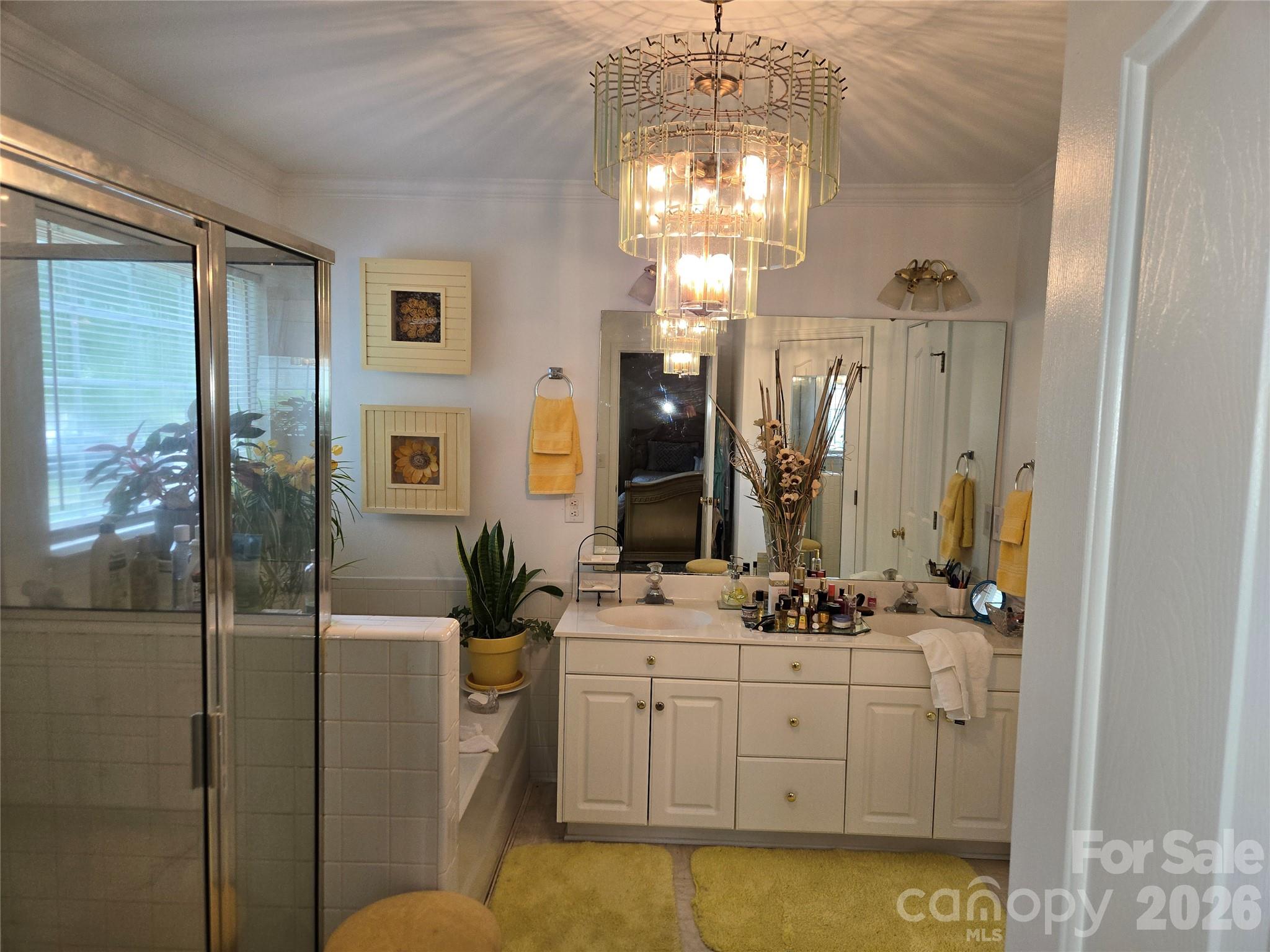 6313 Lily Pad Court — Charlotte