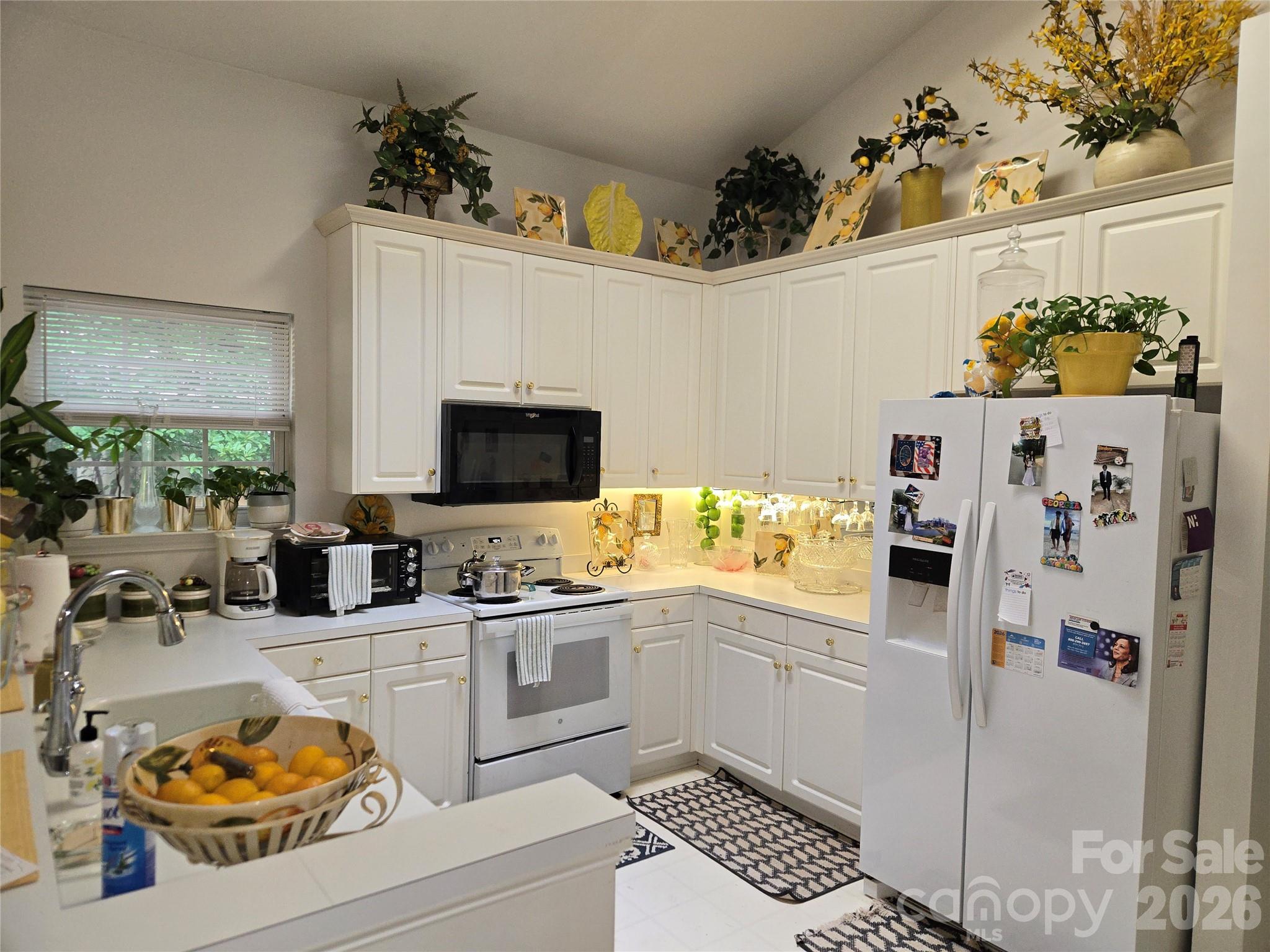 6313 Lily Pad Court — Charlotte