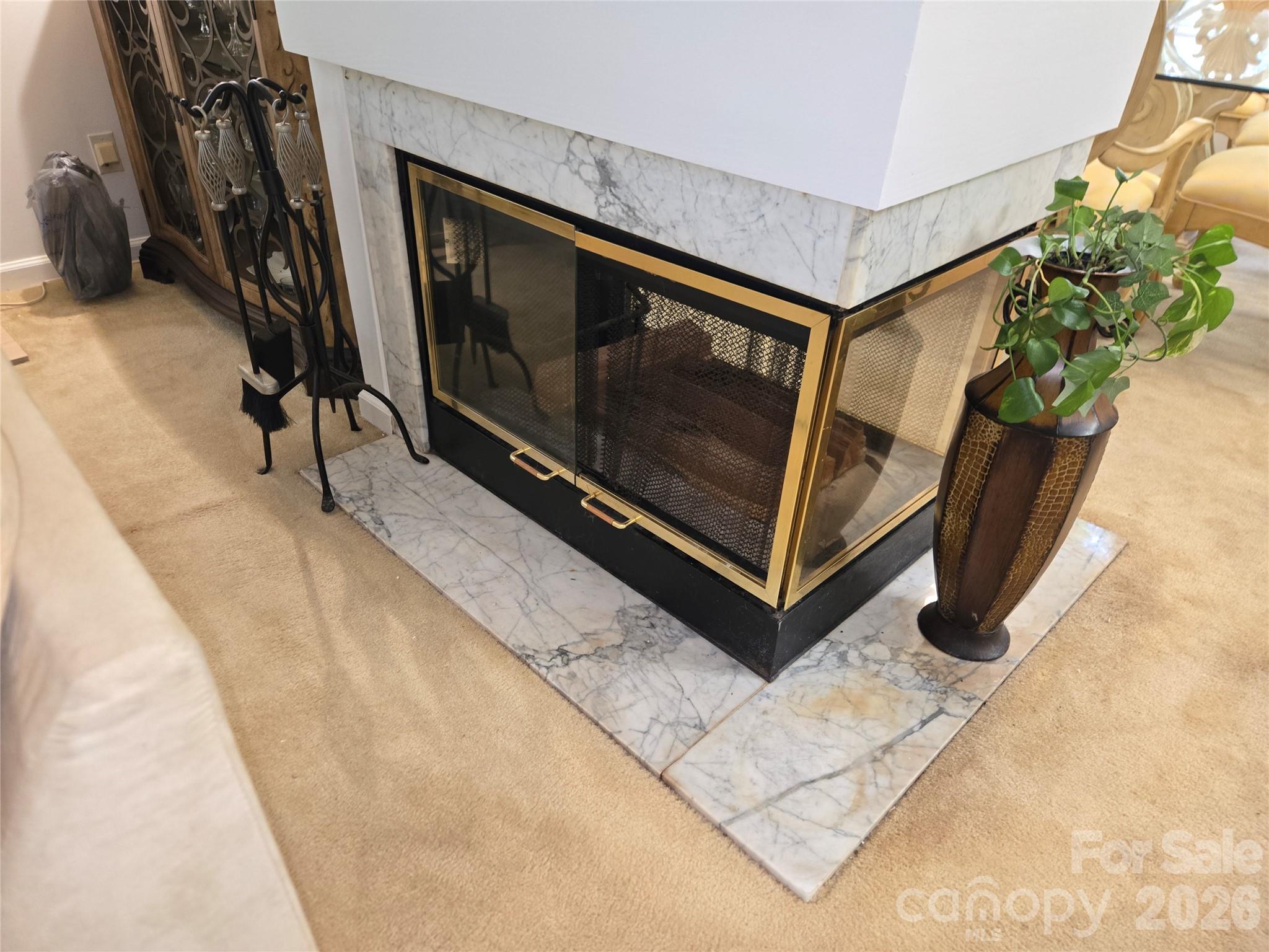 6313 Lily Pad Court — Charlotte