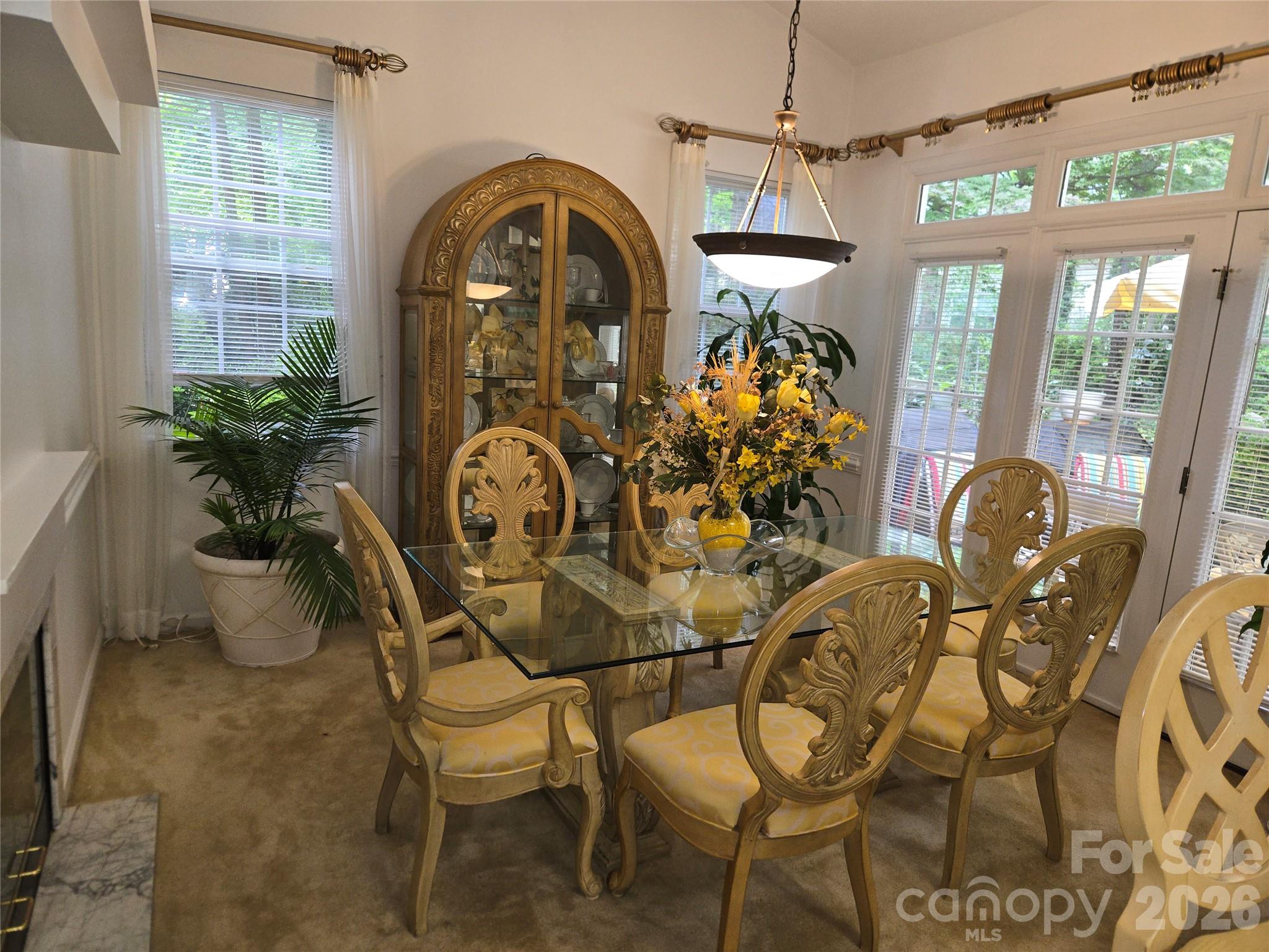 6313 Lily Pad Court — Charlotte