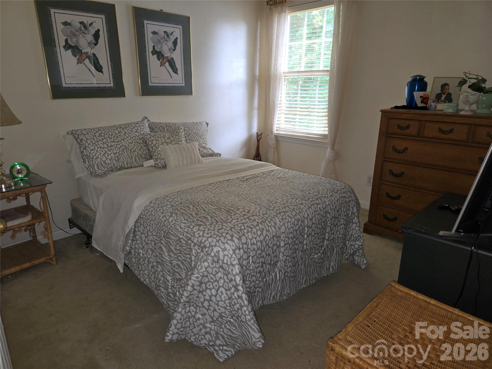 6313 Lily Pad Court — Charlotte