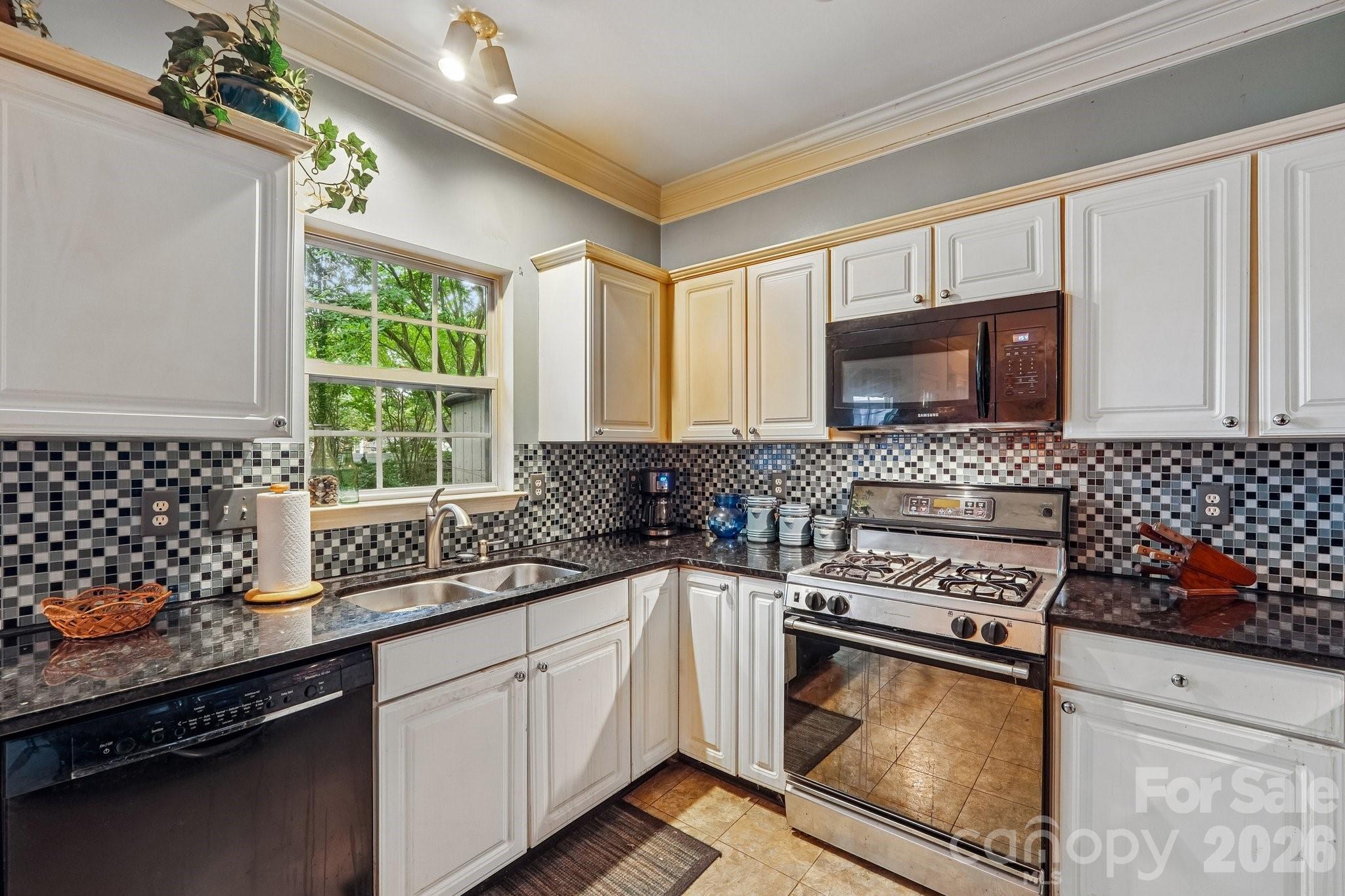 3429 Turtle Cross Lane — Charlotte