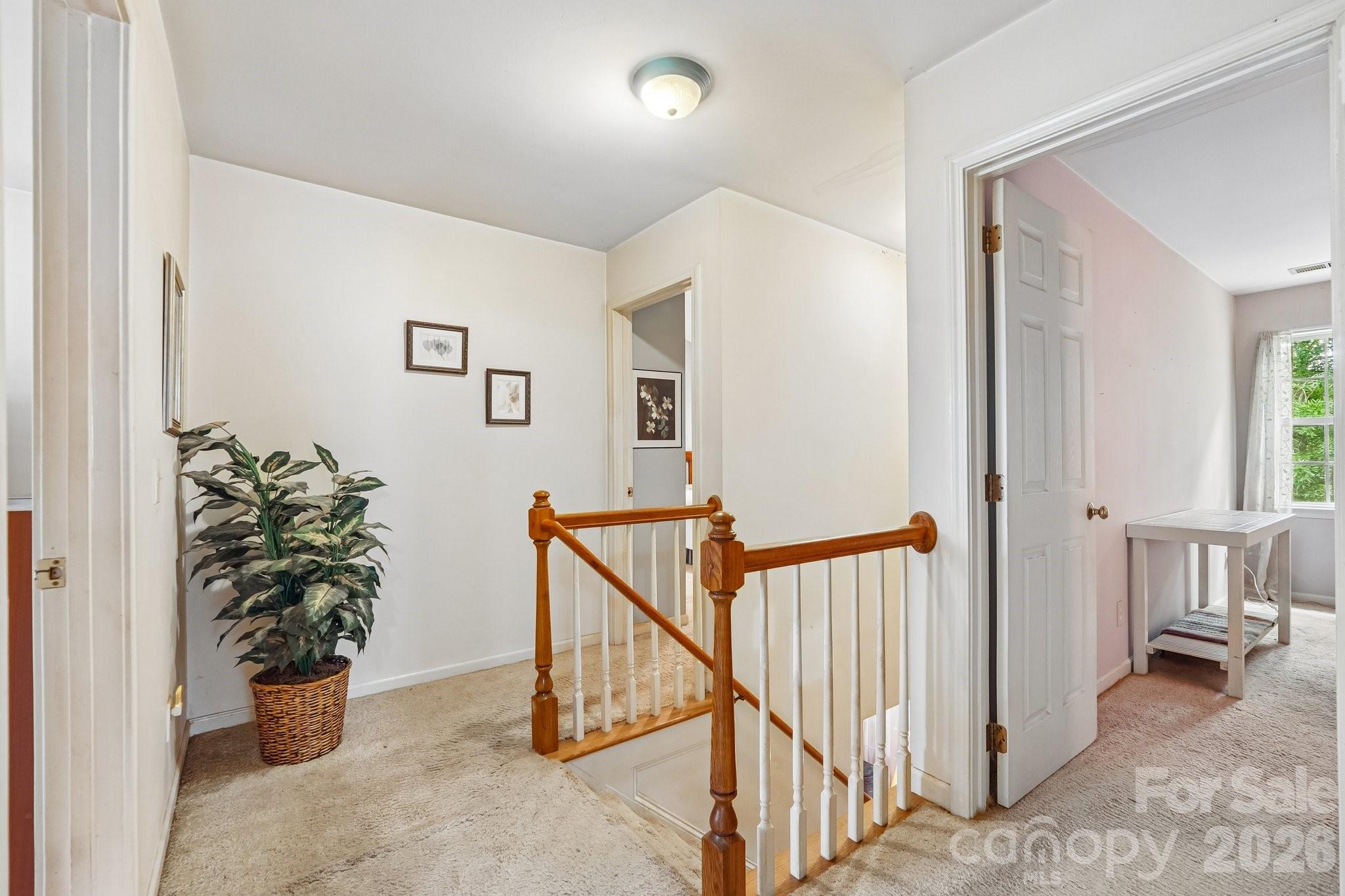 3429 Turtle Cross Lane — Charlotte