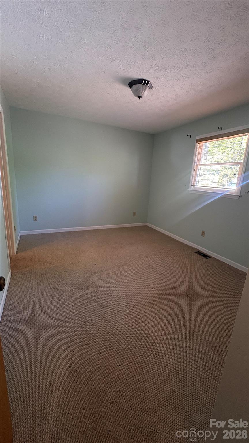 132 Haynes Street — Hendersonville
