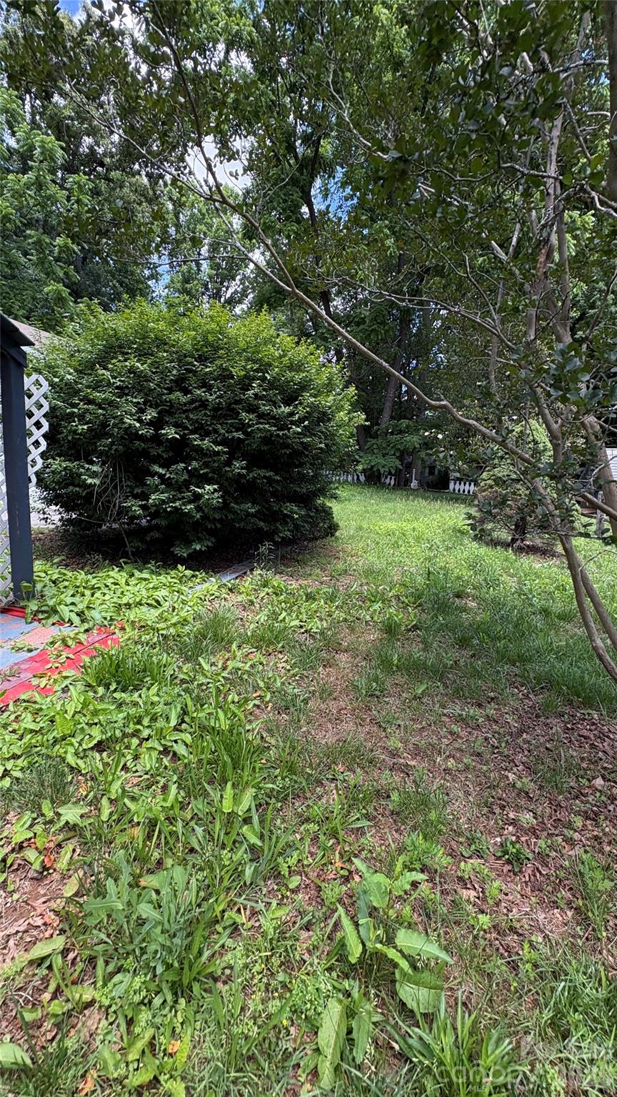 132 Haynes Street — Hendersonville