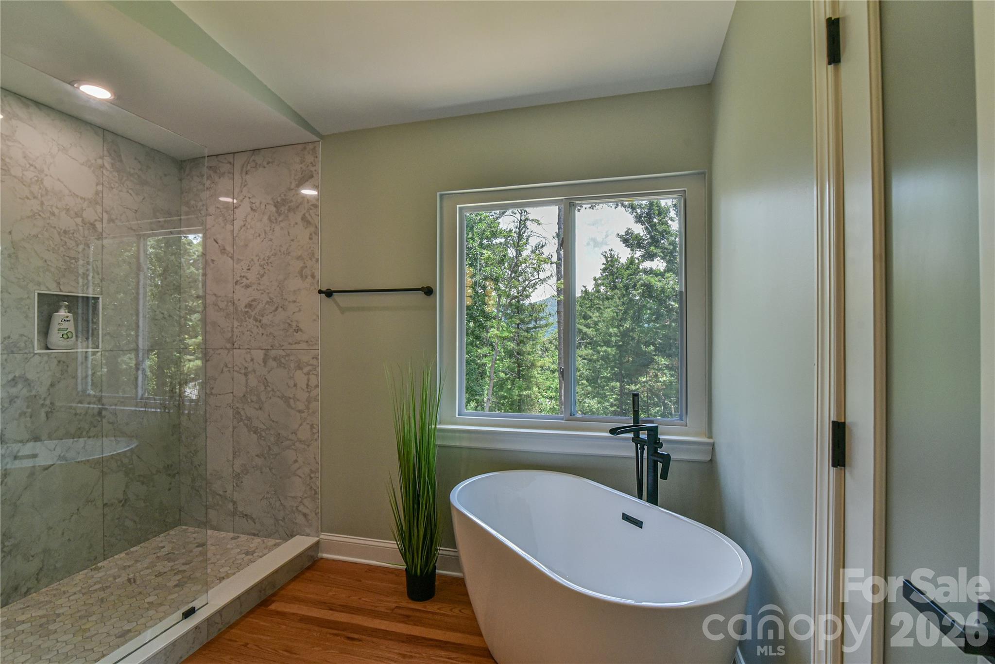 351 Windsor Road — Asheville