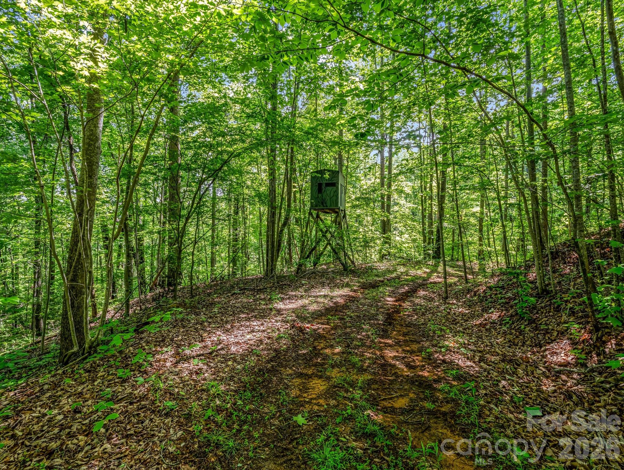 980 Mountain Forest Drive — Union Mills