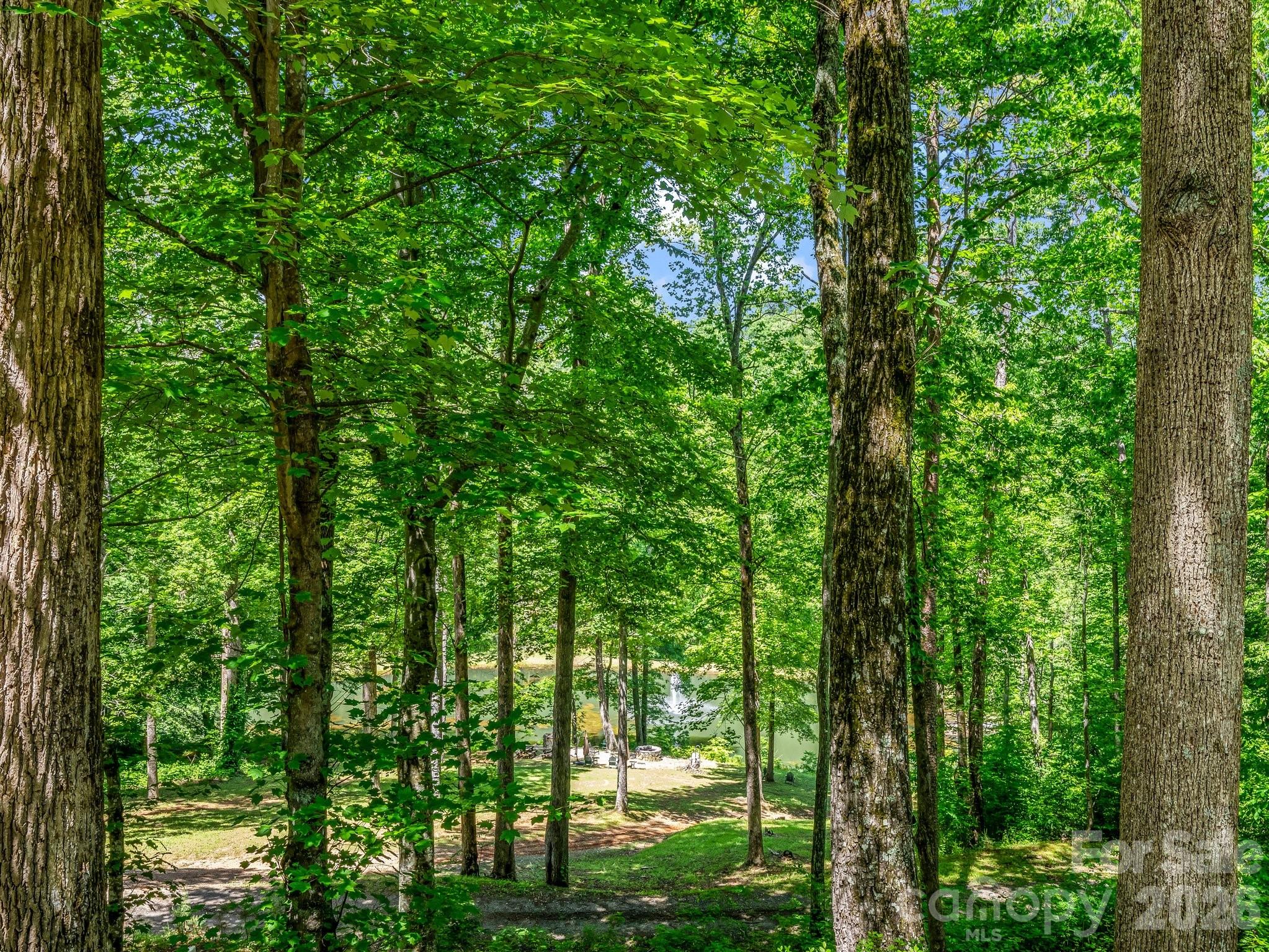 980 Mountain Forest Drive — Union Mills
