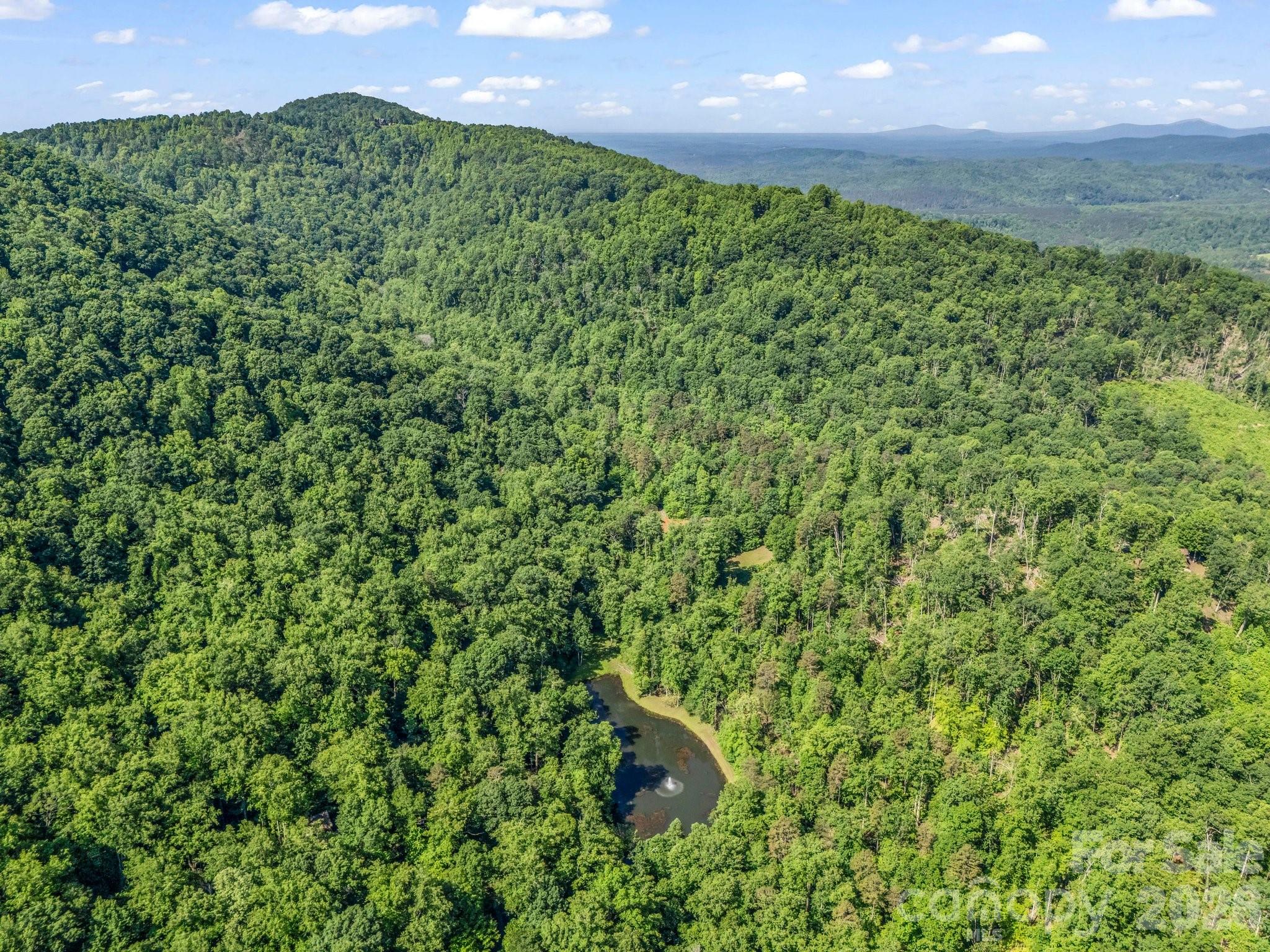 980 Mountain Forest Drive — Union Mills