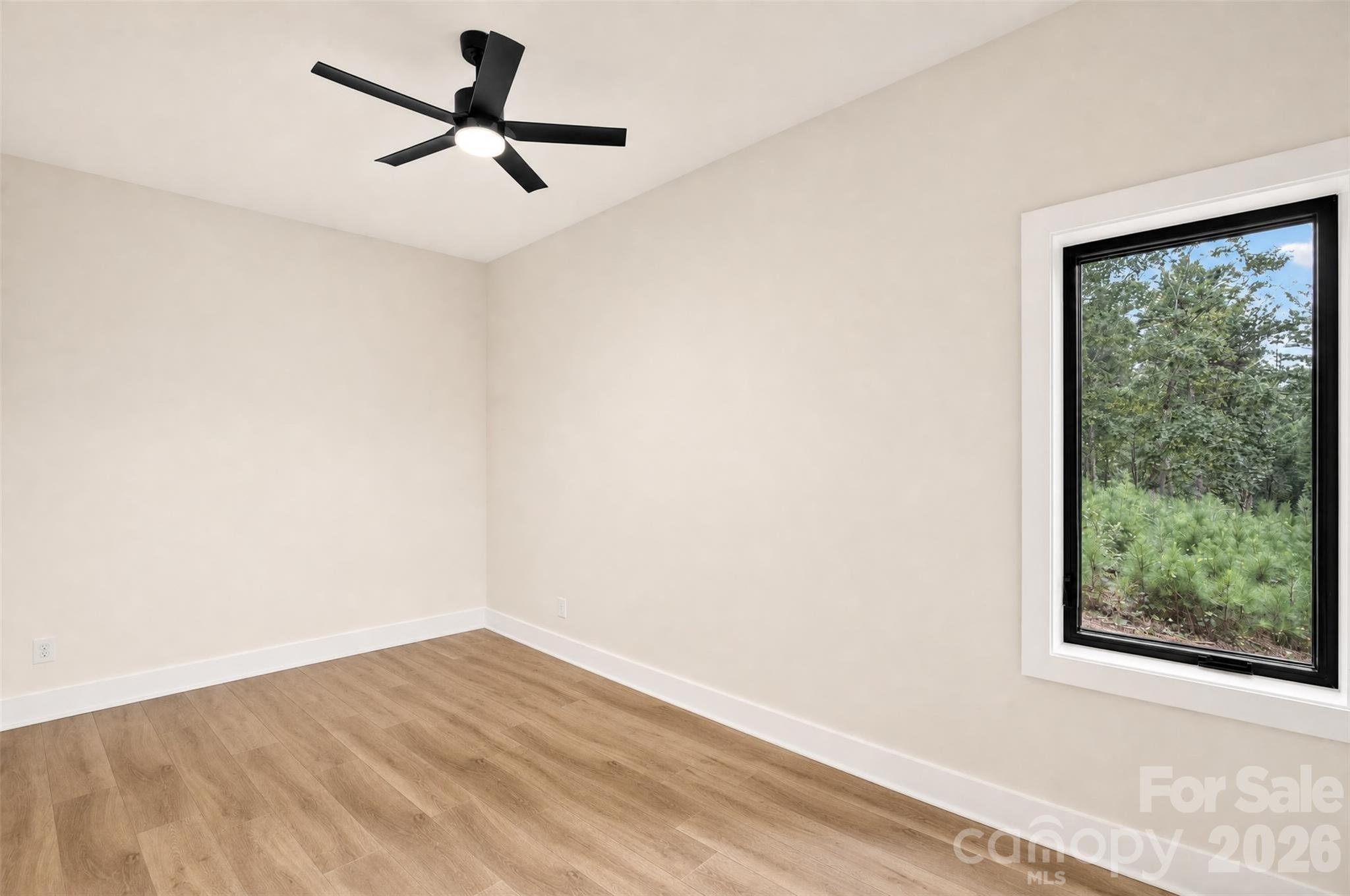 2199 Castle Peak Mountain — Connelly Springs