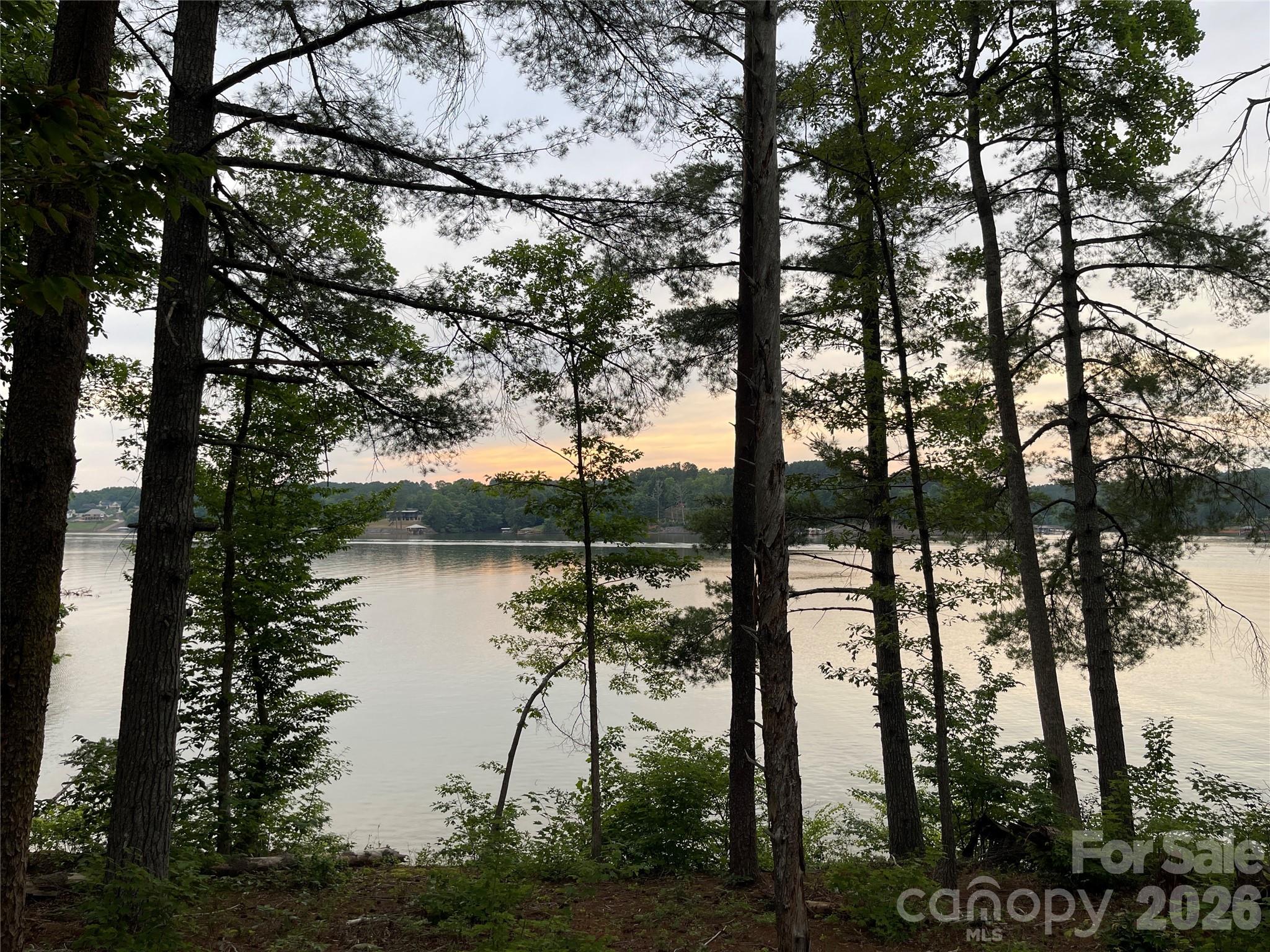 2199 Castle Peak Mountain — Connelly Springs