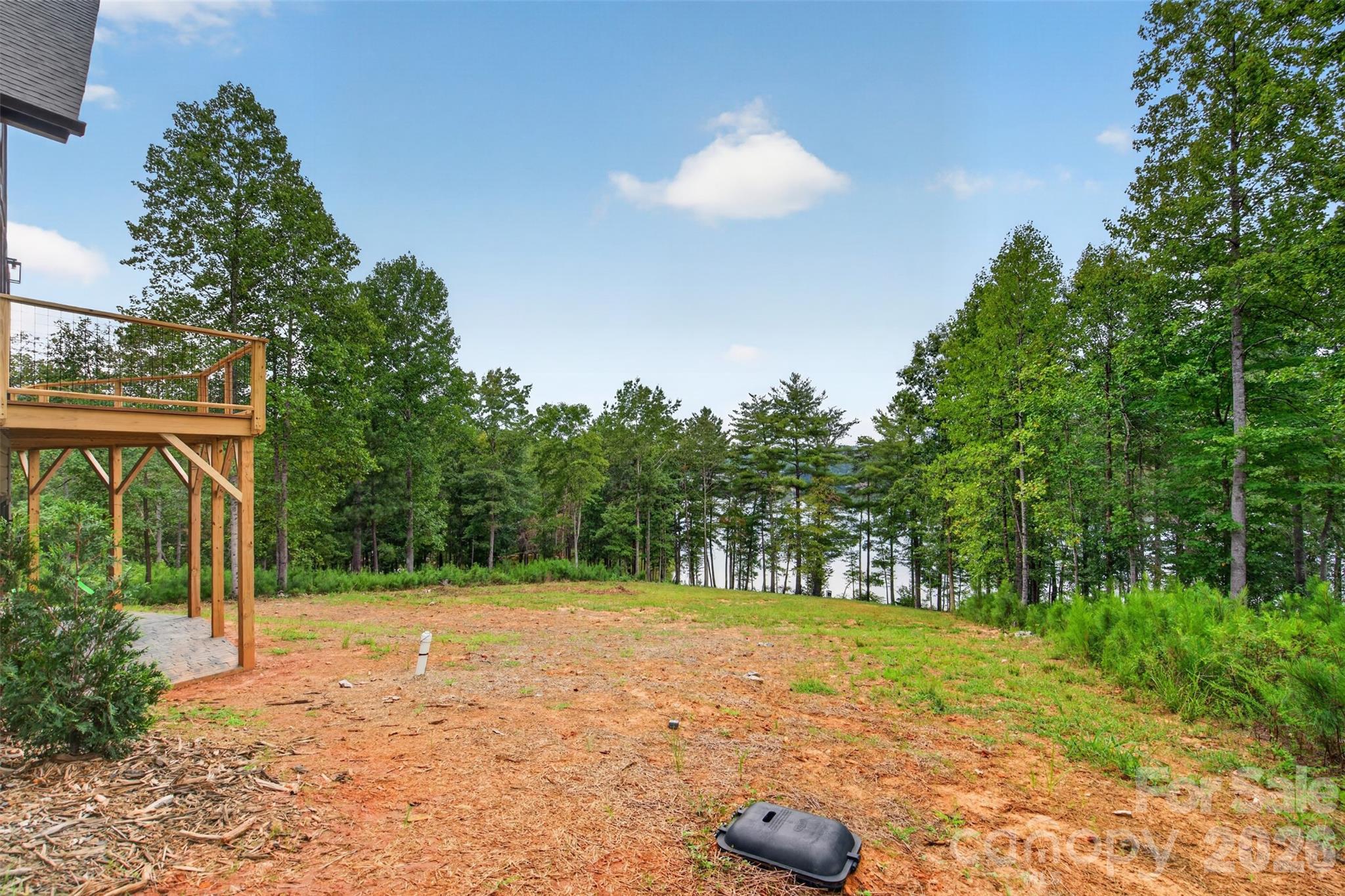 2199 Castle Peak Mountain — Connelly Springs