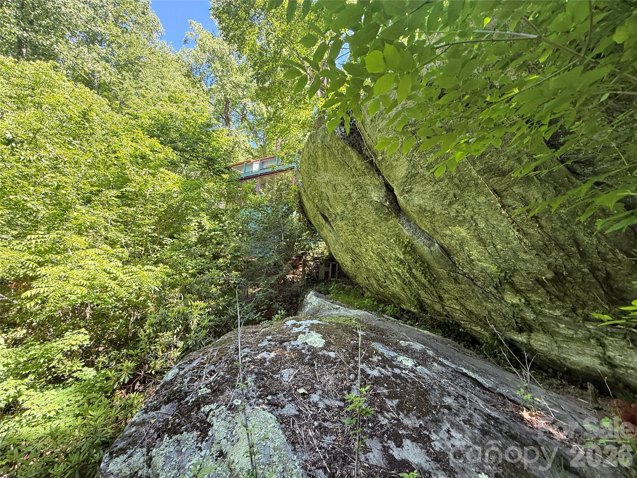 1590 Shulls Mill Road — Boone