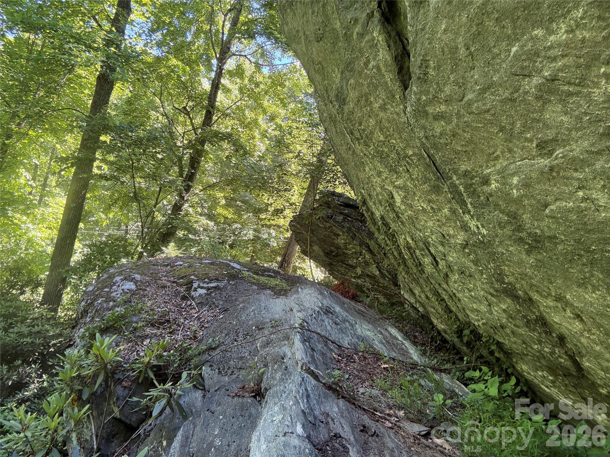 1590 Shulls Mill Road — Boone