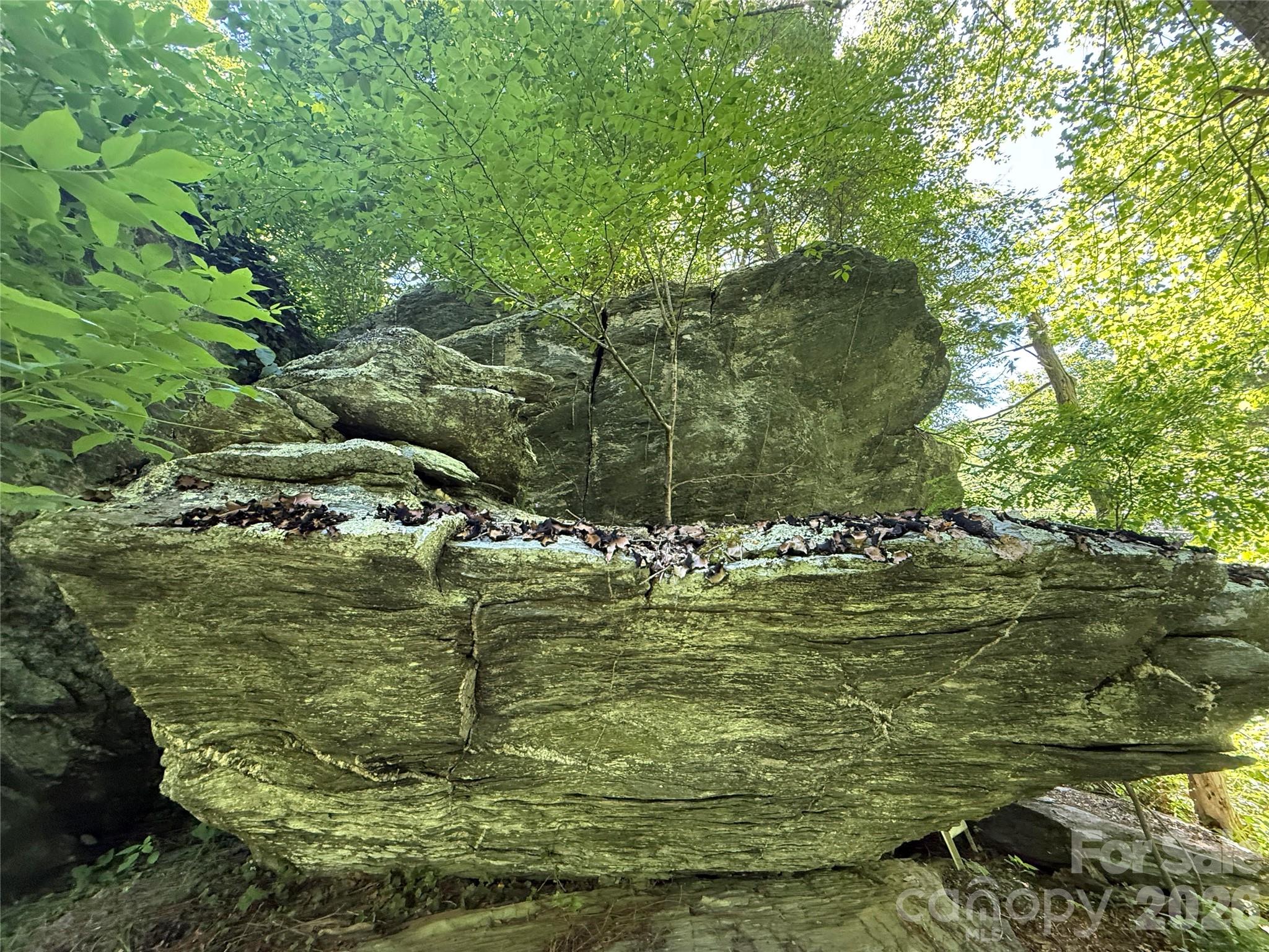 1590 Shulls Mill Road — Boone
