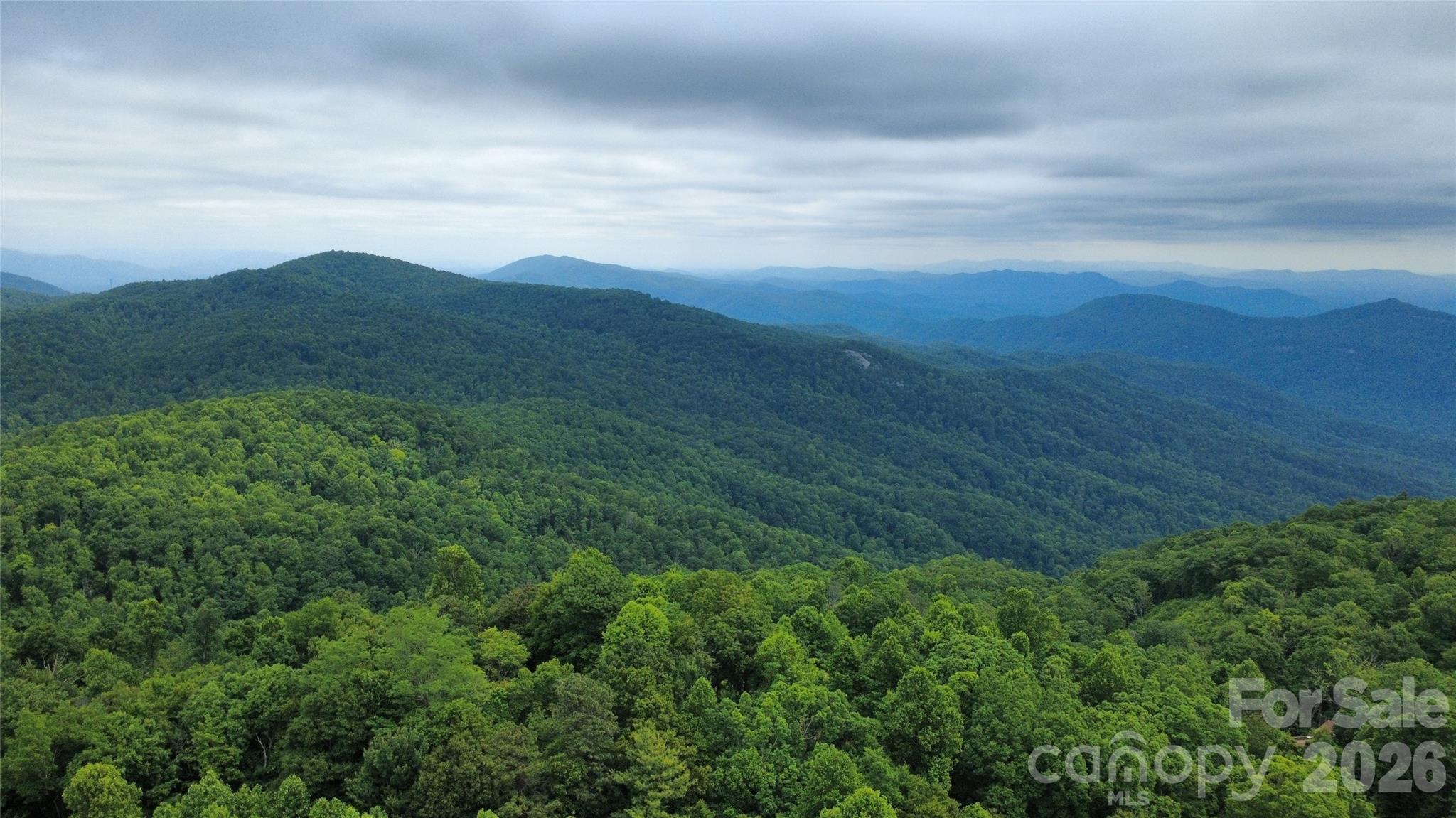 826 Shumont Road — Black Mountain