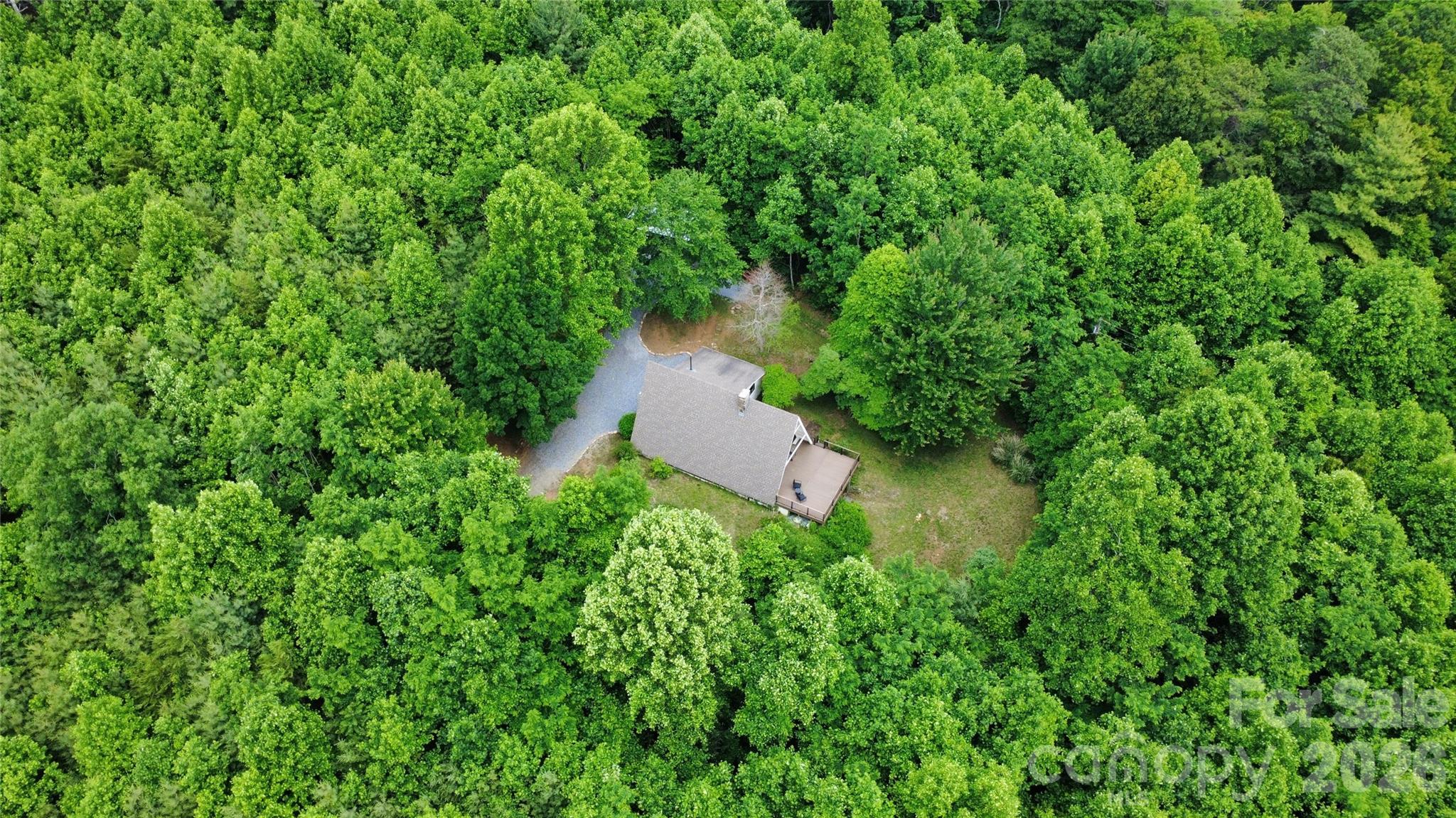 826 Shumont Road — Black Mountain
