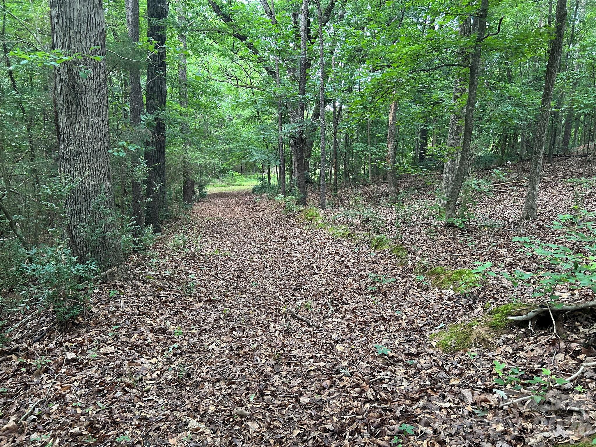 3909 Wightman Church Road — Polkton