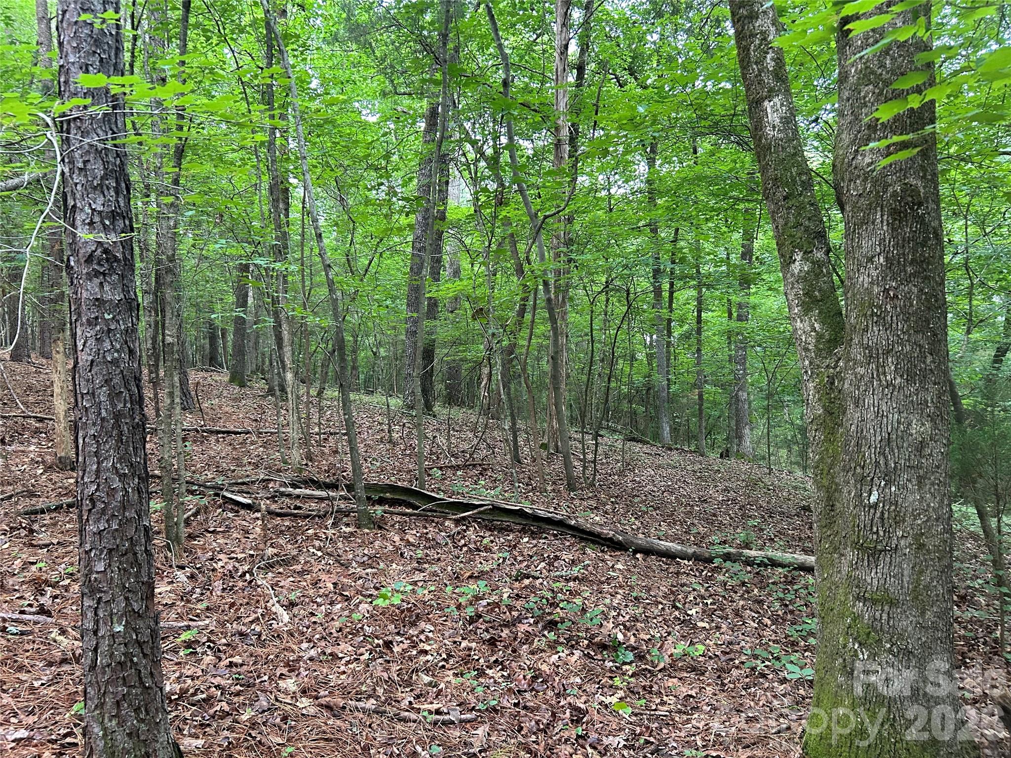 3909 Wightman Church Road — Polkton