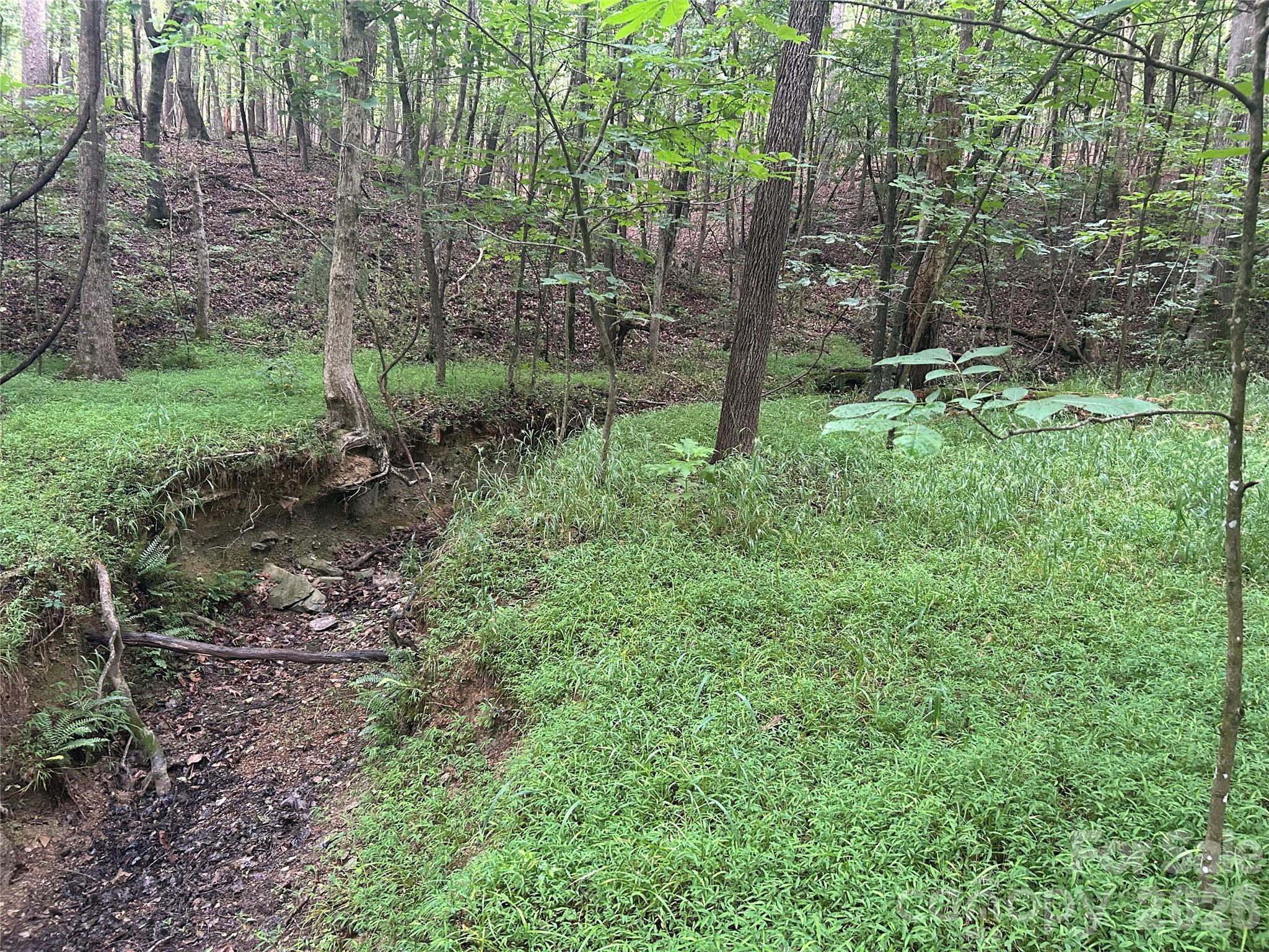 3909 Wightman Church Road — Polkton