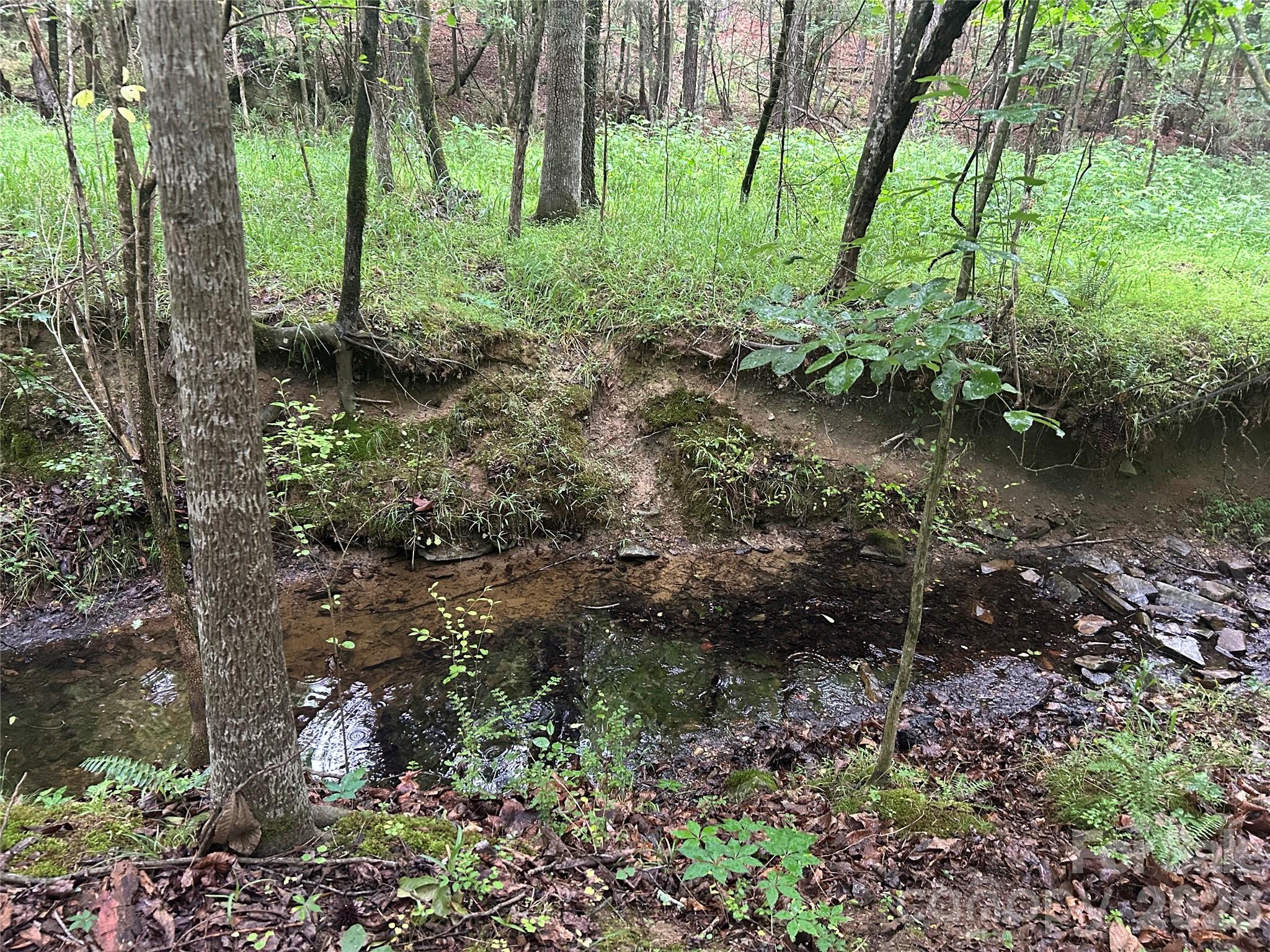 3909 Wightman Church Road — Polkton