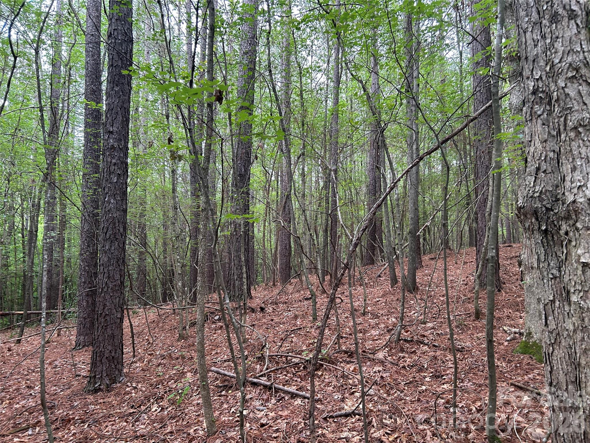 3909 Wightman Church Road — Polkton