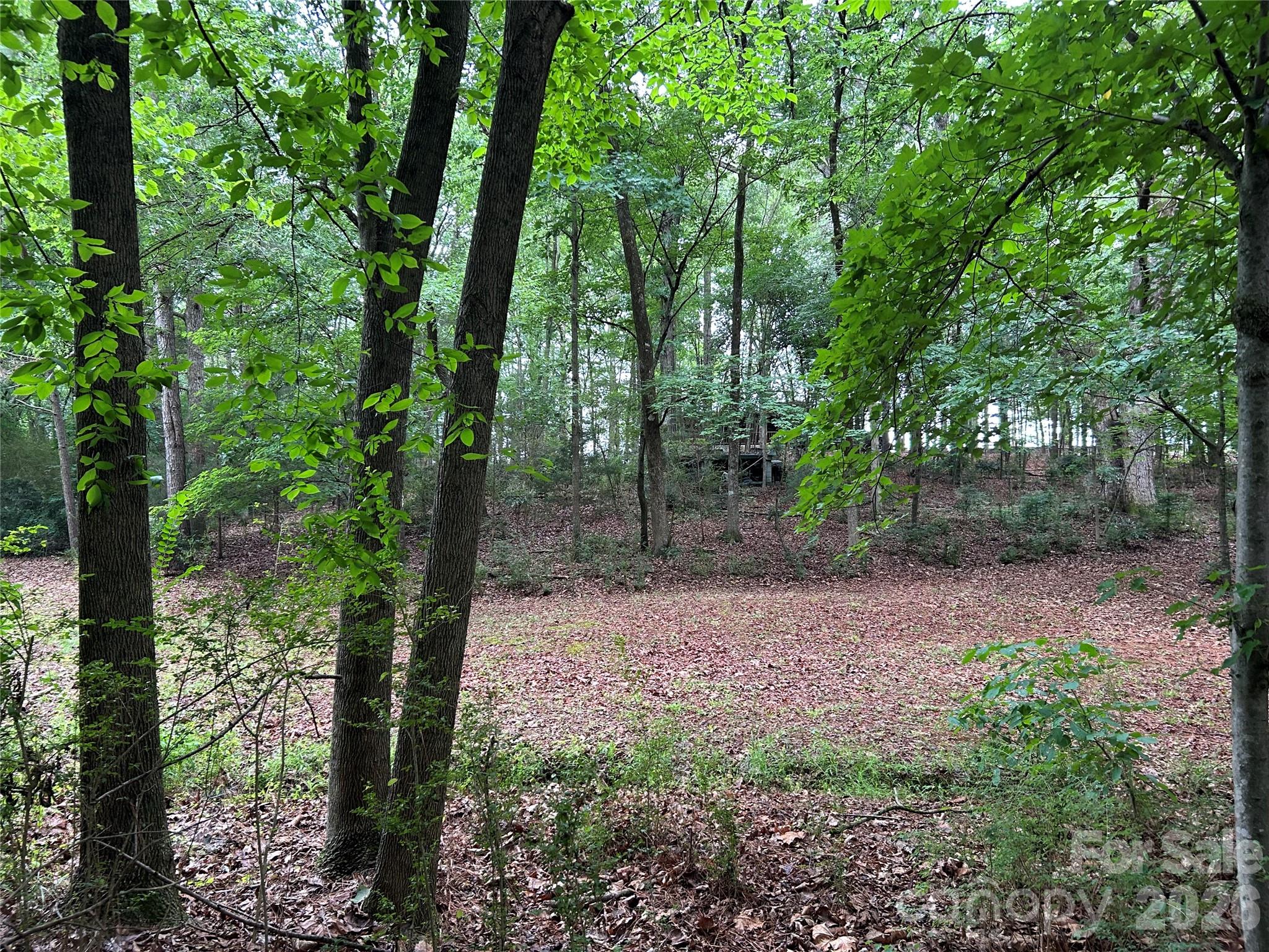 3909 Wightman Church Road — Polkton