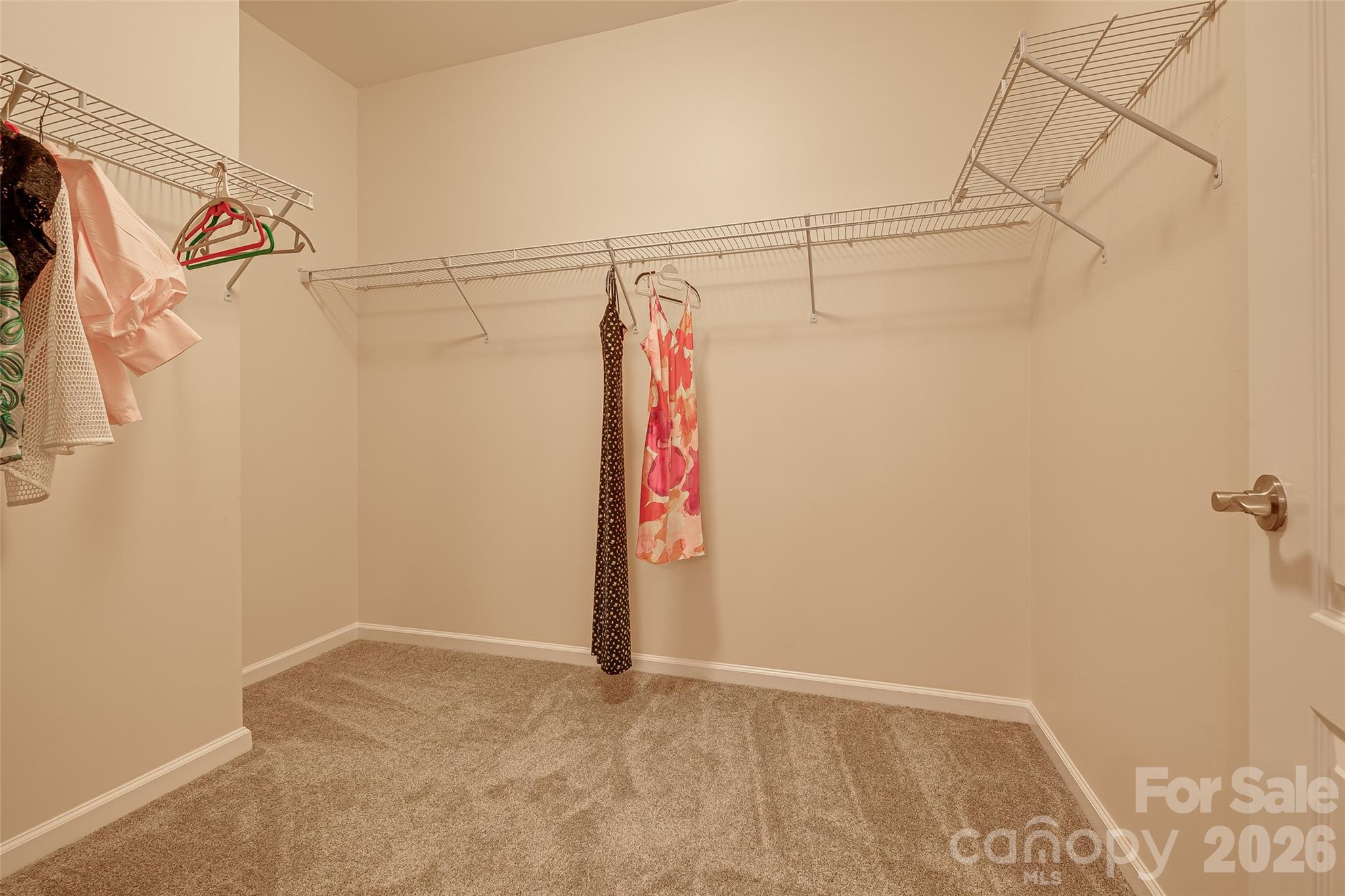 11027 Wrigley Mansion Drive — Charlotte